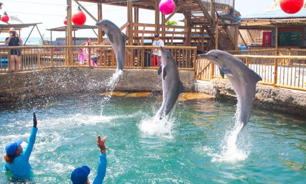 Aptartamentos Temáticos con balcón panorámico frente a la Playa