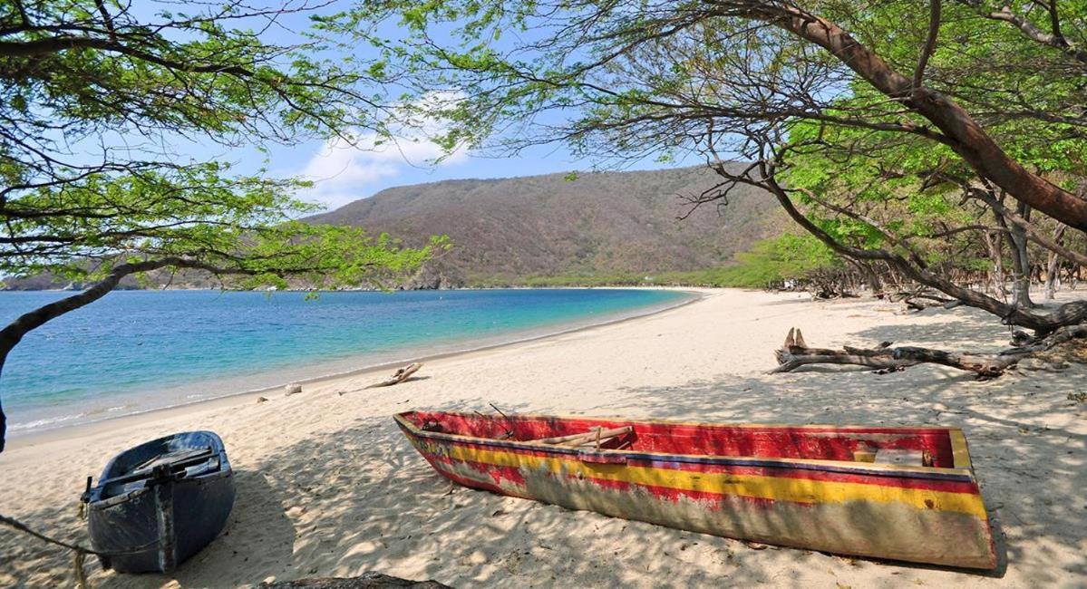 Aptartamentos Temáticos con balcón panorámico frente a la Playa