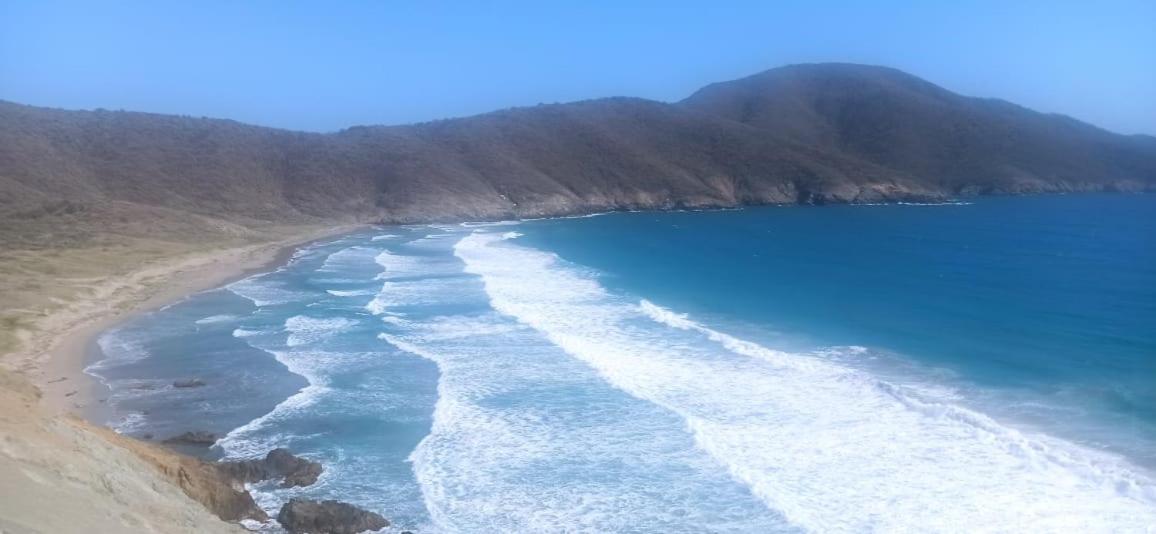 Aptartamentos Temáticos con balcón panorámico frente a la Playa