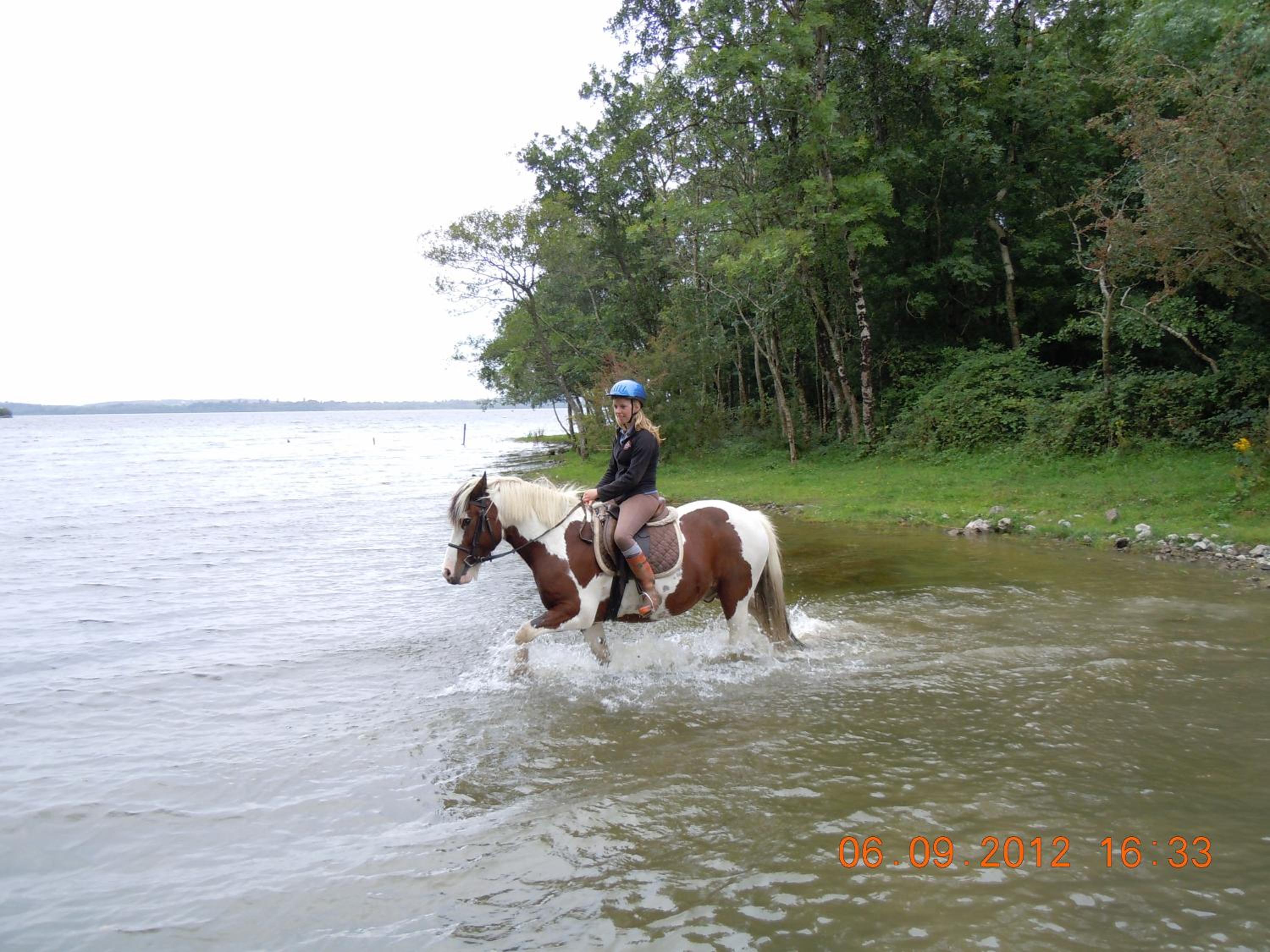 Photo 22