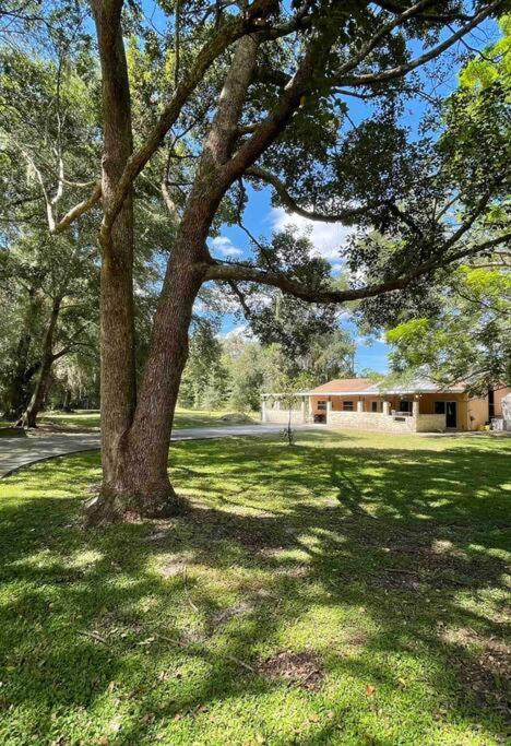 Leesburg Vacations - The Piano House - Property Image 1