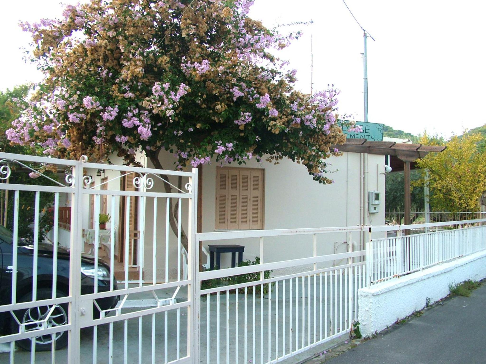 George's Apartment