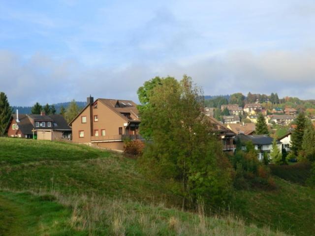 Photo 43