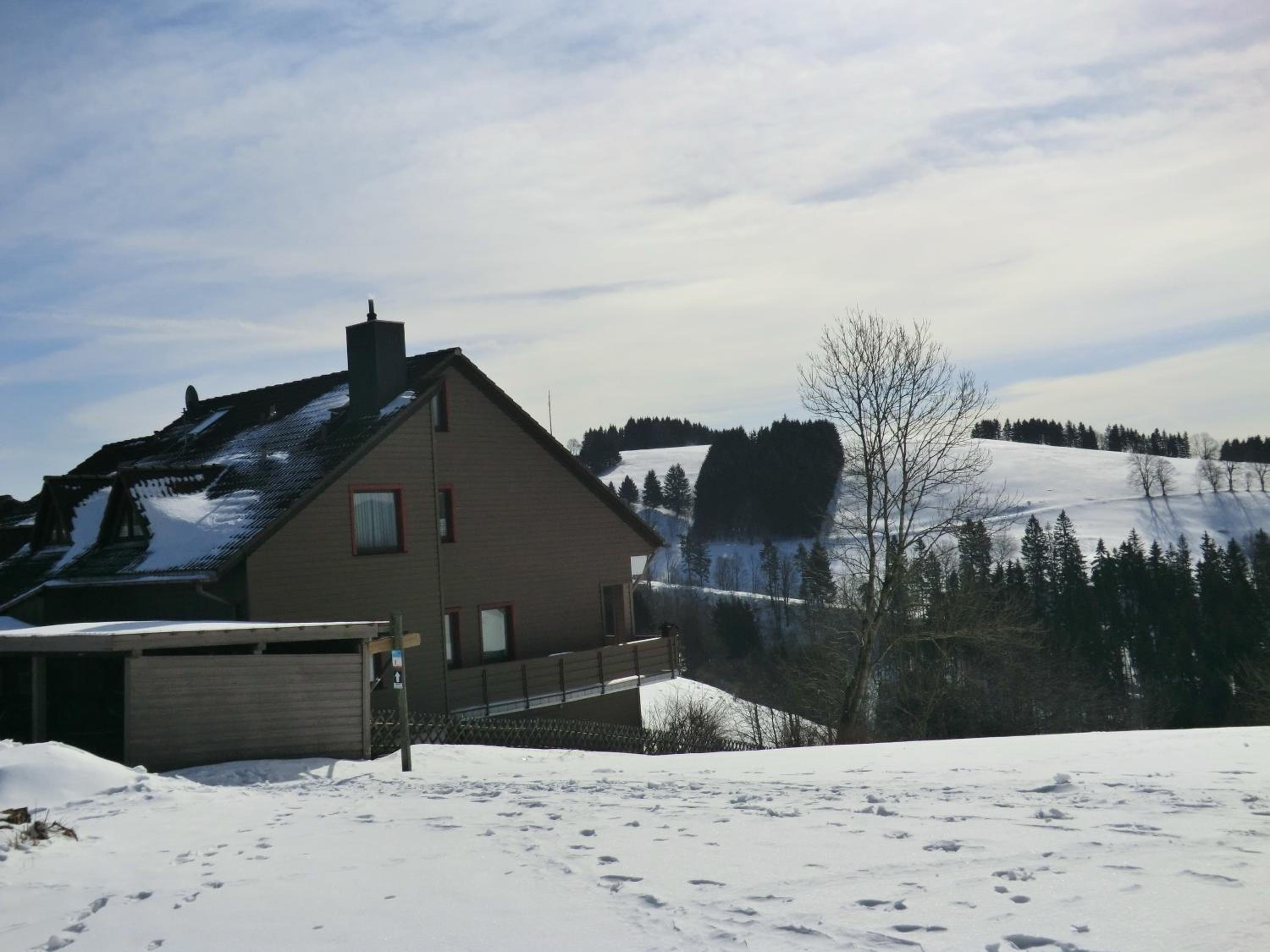 Photo 13