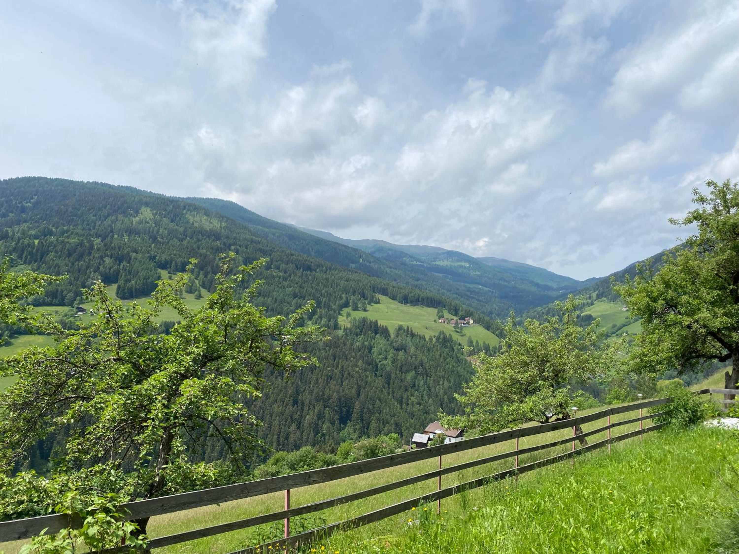 Ferienhaus Bergblick