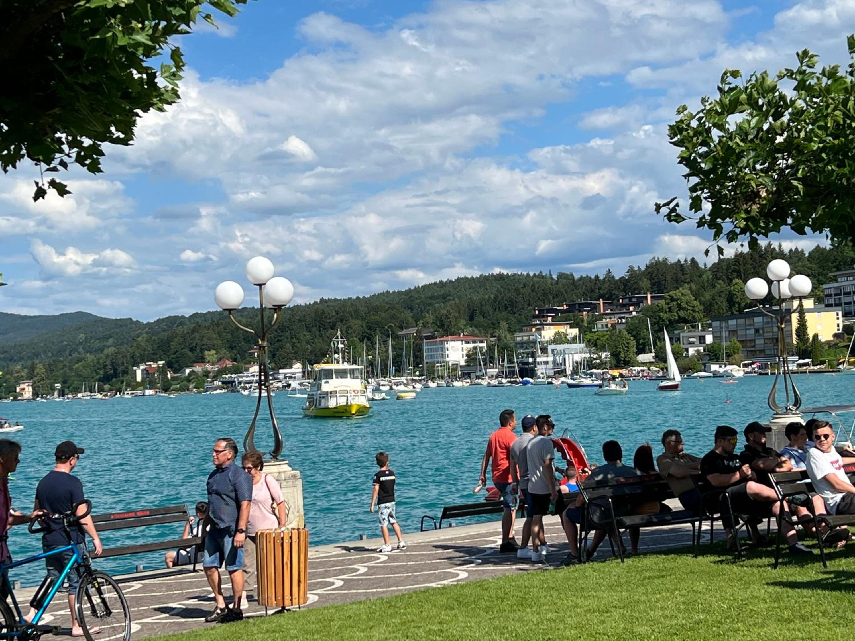 Seebär Velden