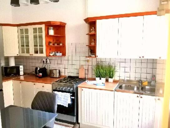 FREE Garage parking, AC and bikes in the downtown view 3