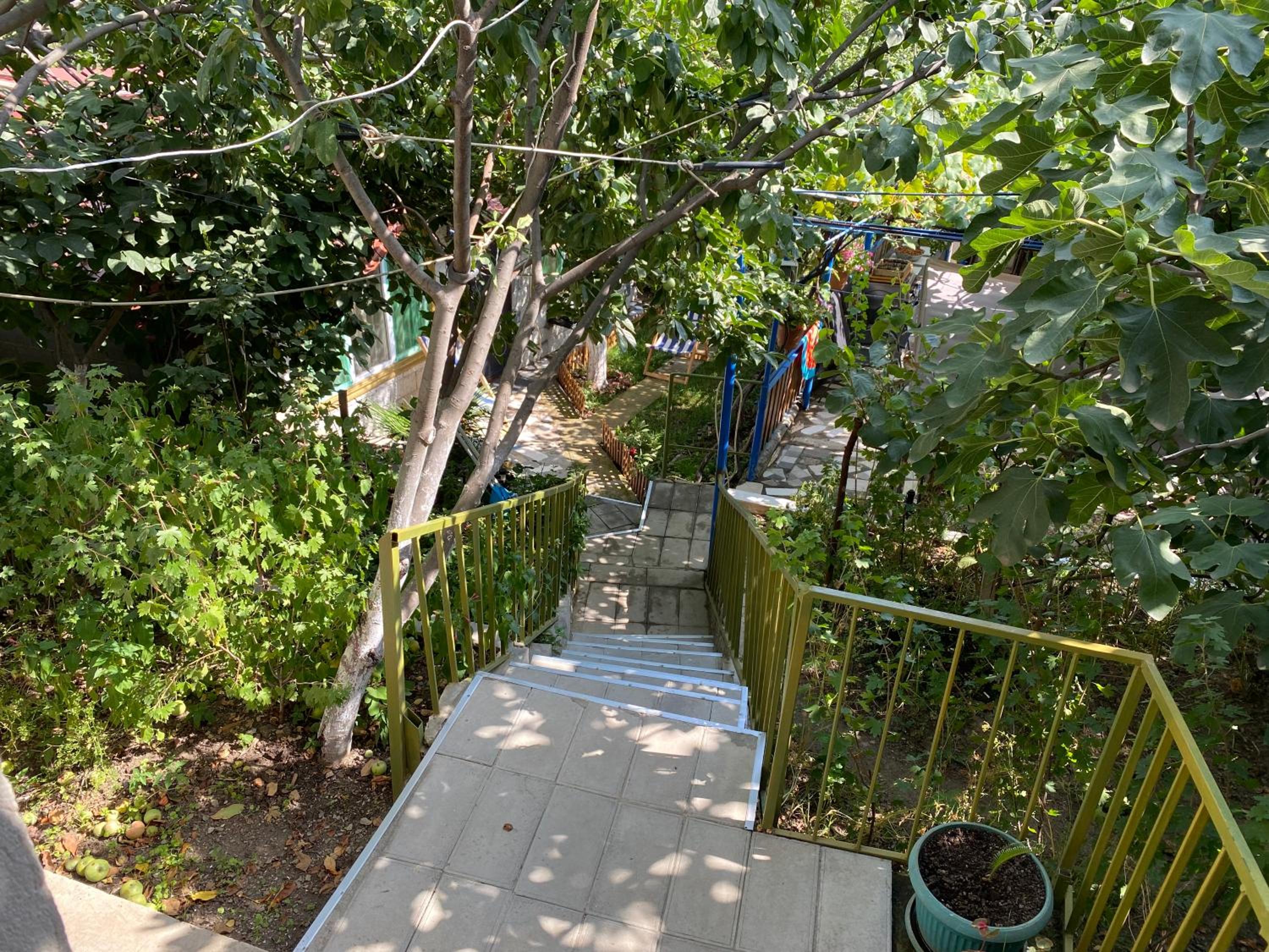 Photo 38
