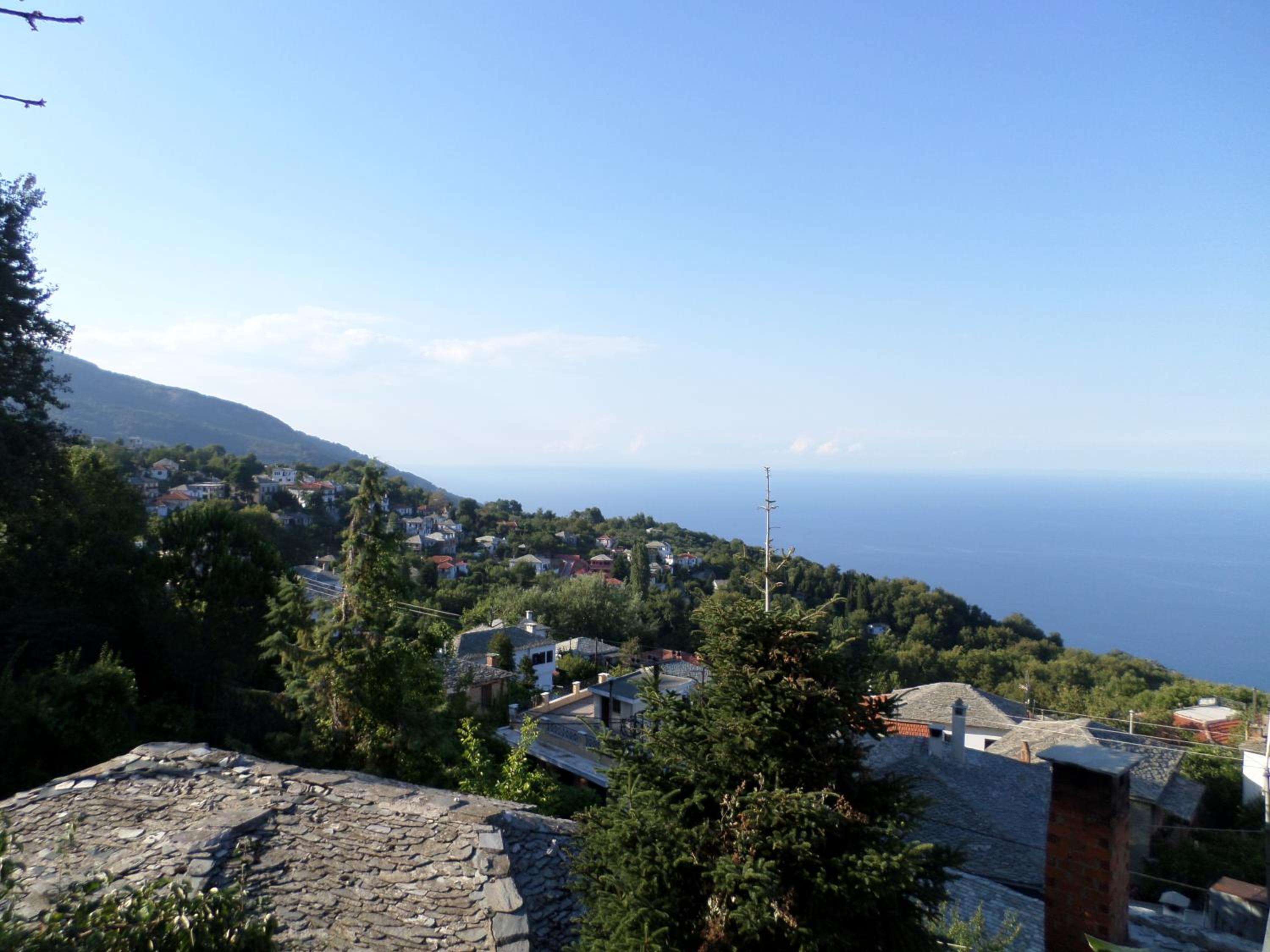 Vera's Traditional House view 5