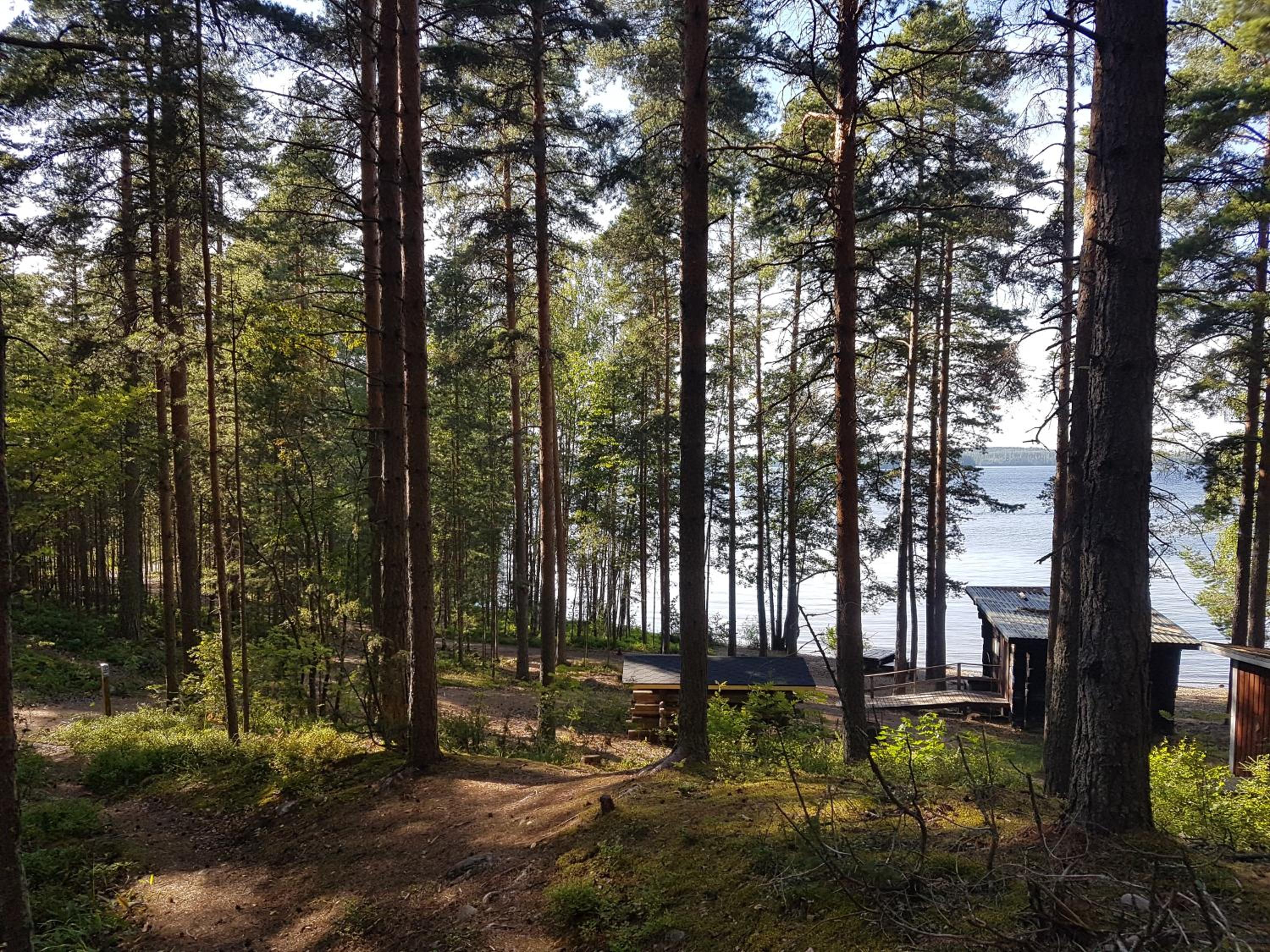 Saunalautta Sisu