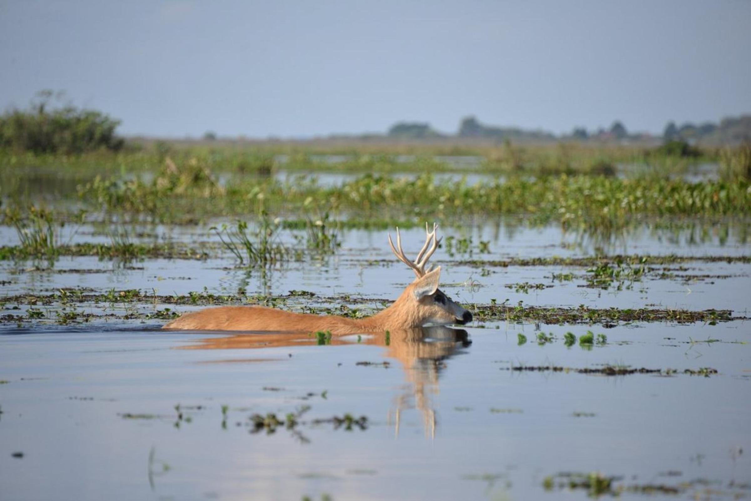 Posada Uguay - Esteros del Iberá