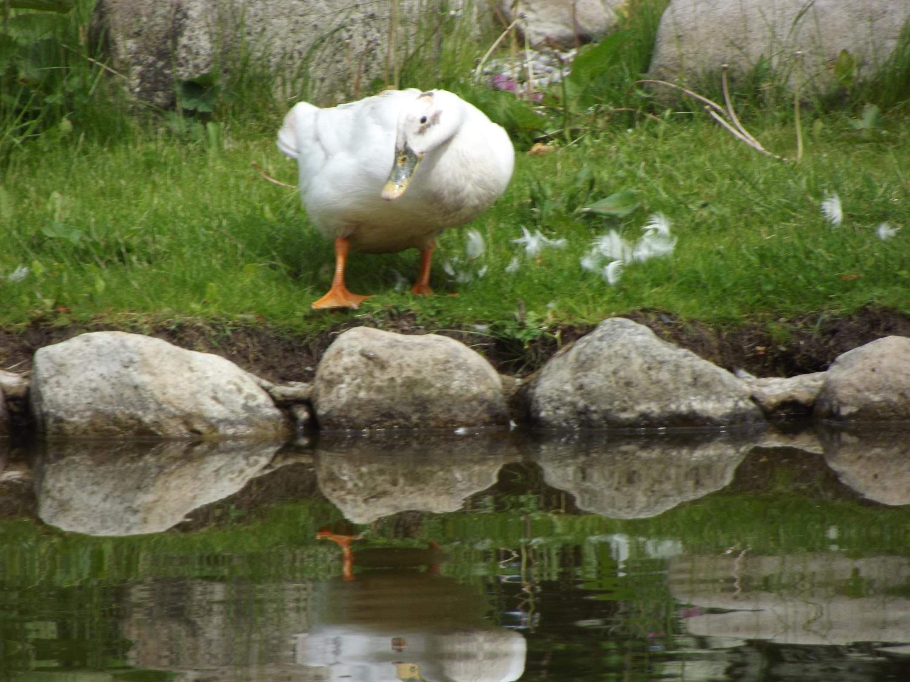 Photo 23