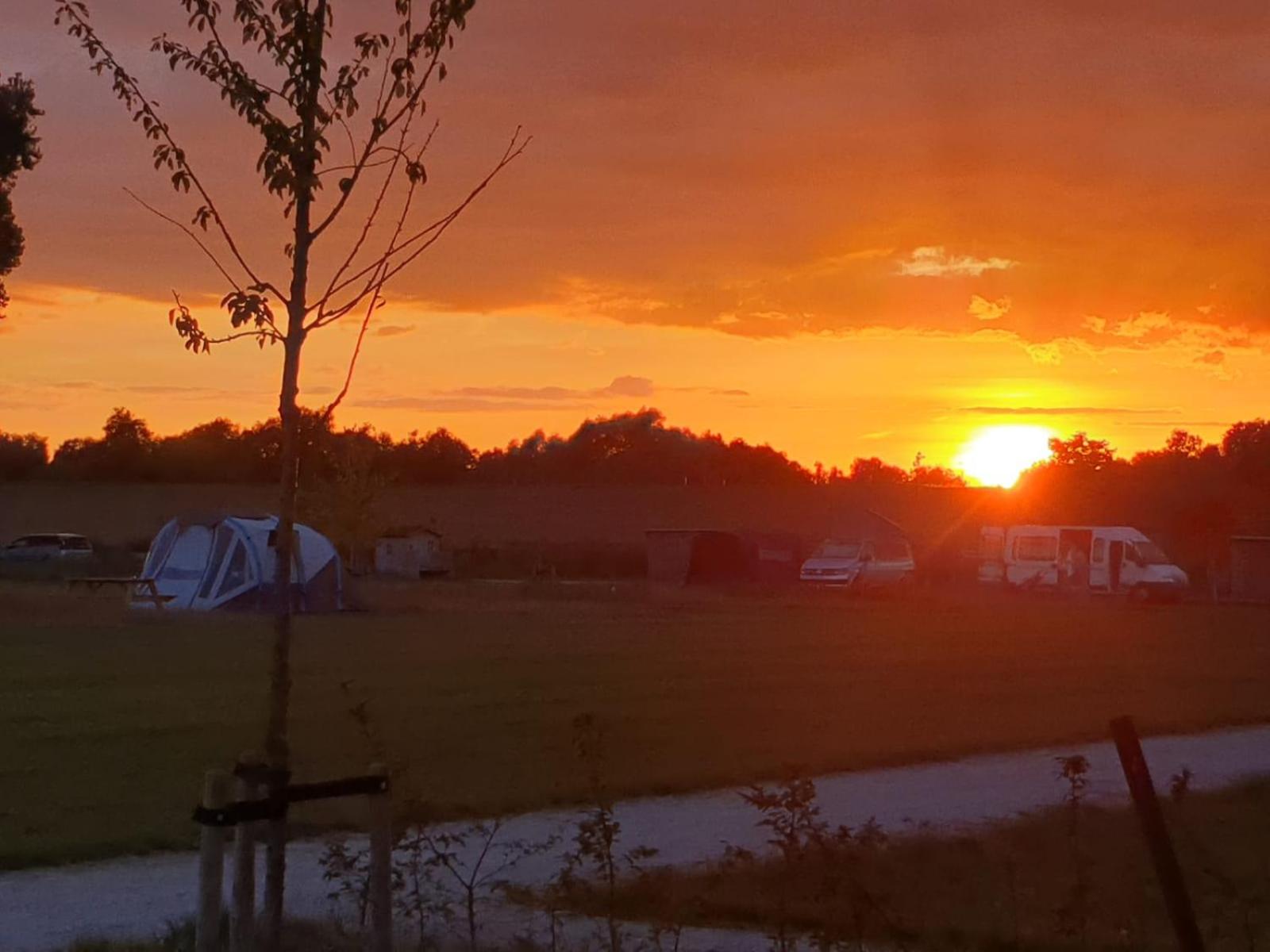De Hazelaarshof Luxe glampingtent bij natuurgebied De Millingerwaard view 4