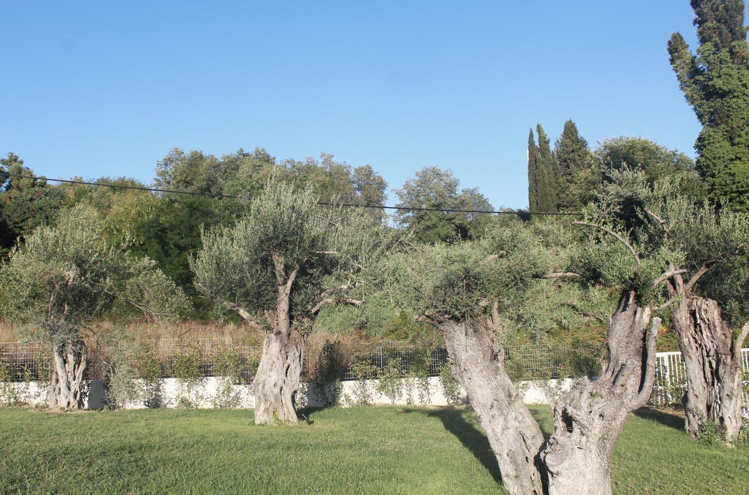 Stablo Residence view 5