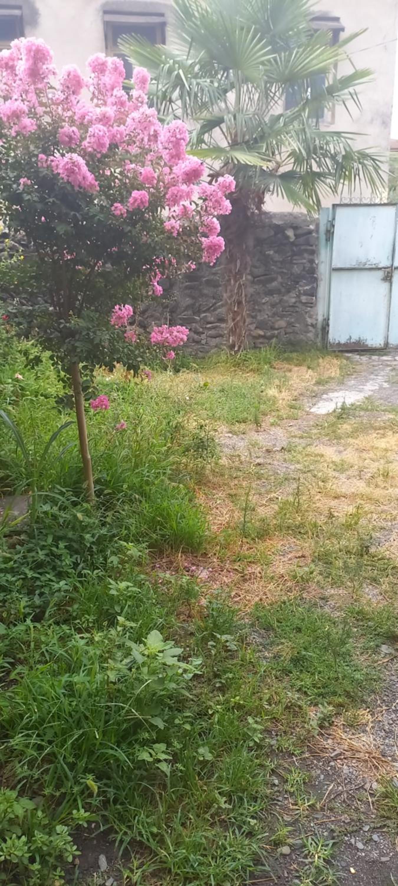 Photo 68