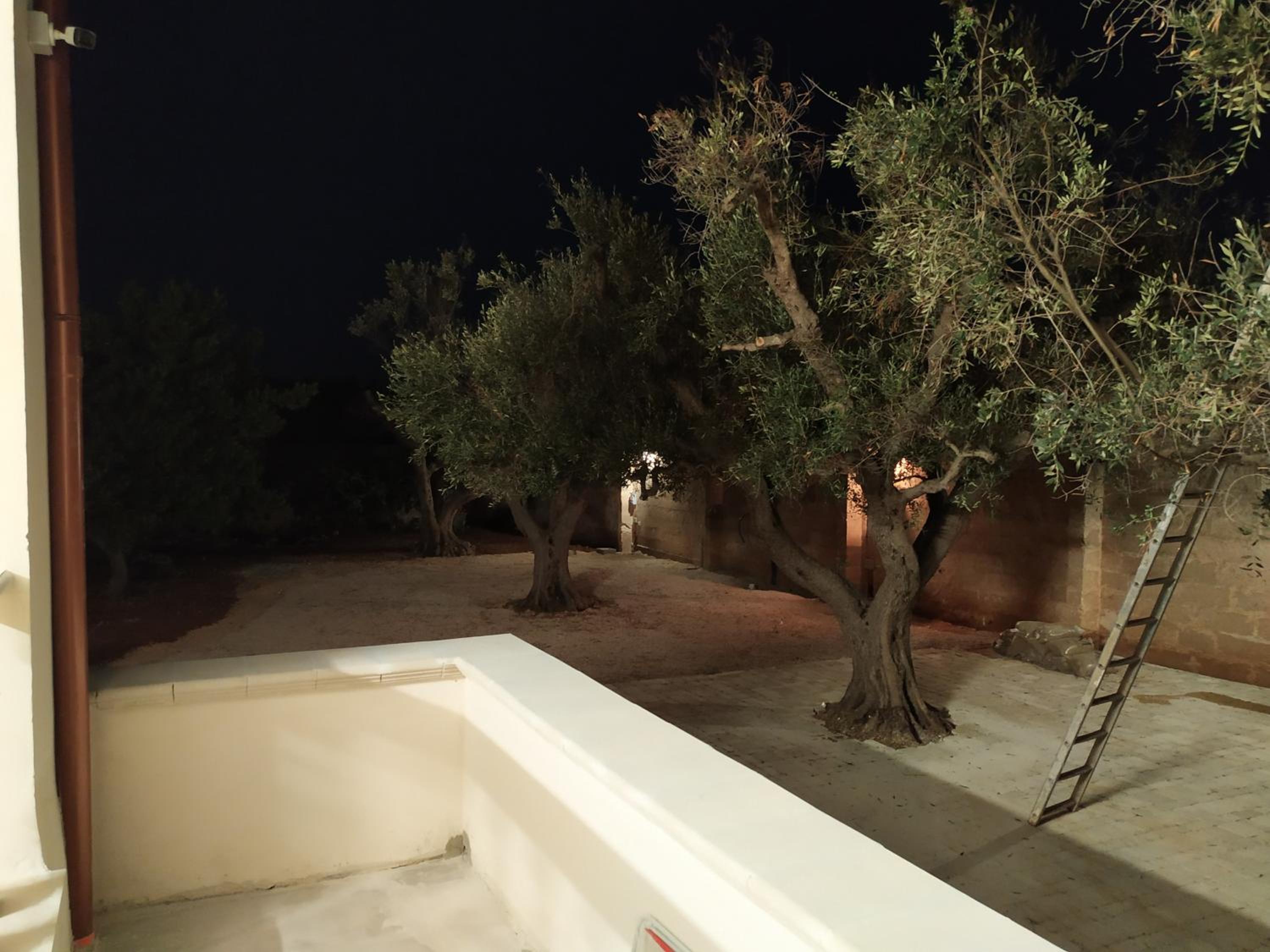 Villa Aurora 1 view 5