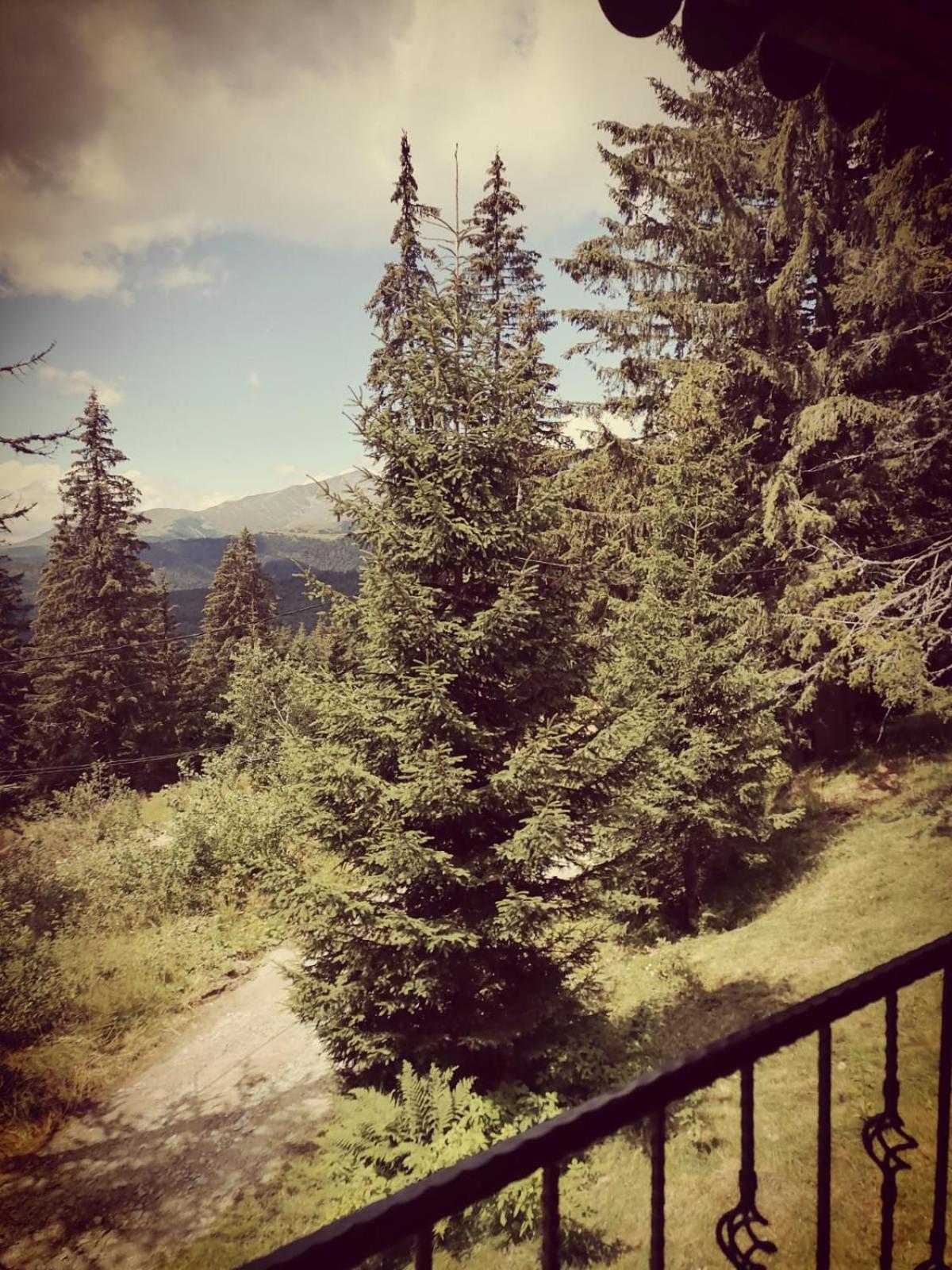 Photo 46