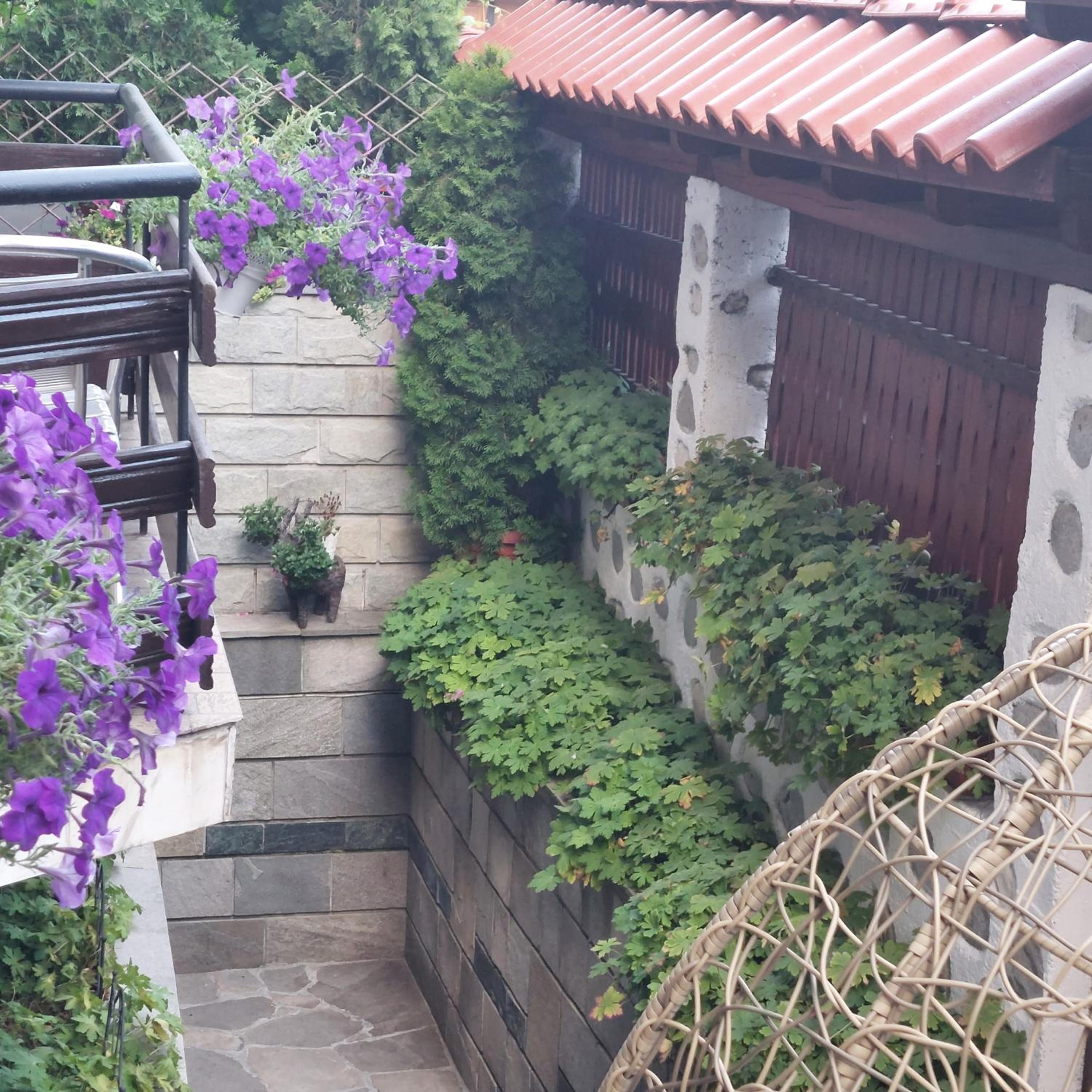Guest House Planinski Zdravets