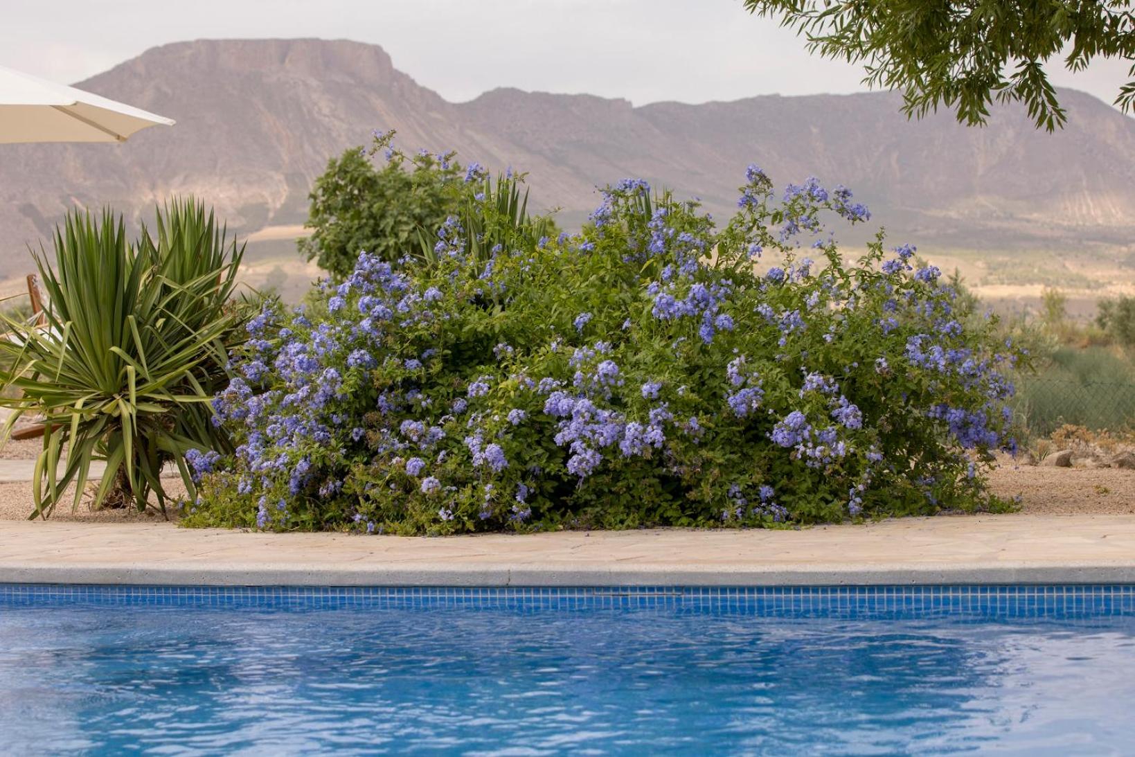 Boutique Bed & Breakfast Casa Paco - adults only