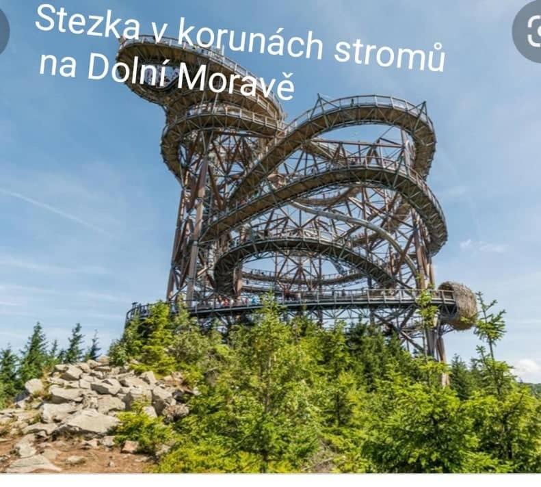 Skiapartma - Říčky v Orlických horách