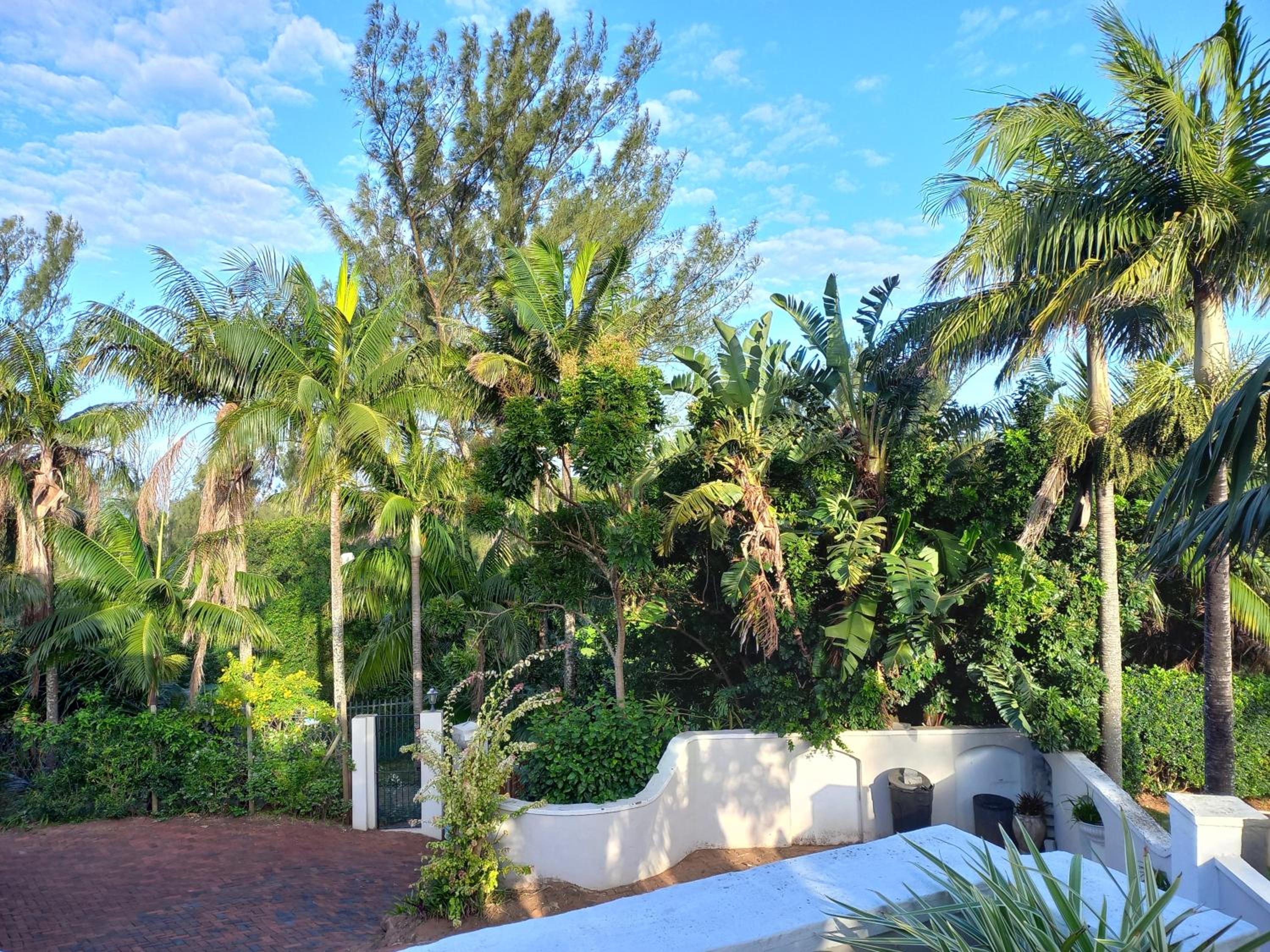 Ocean Blue Suite - Villa Roc Guesthouse, Pet Friendly view 5