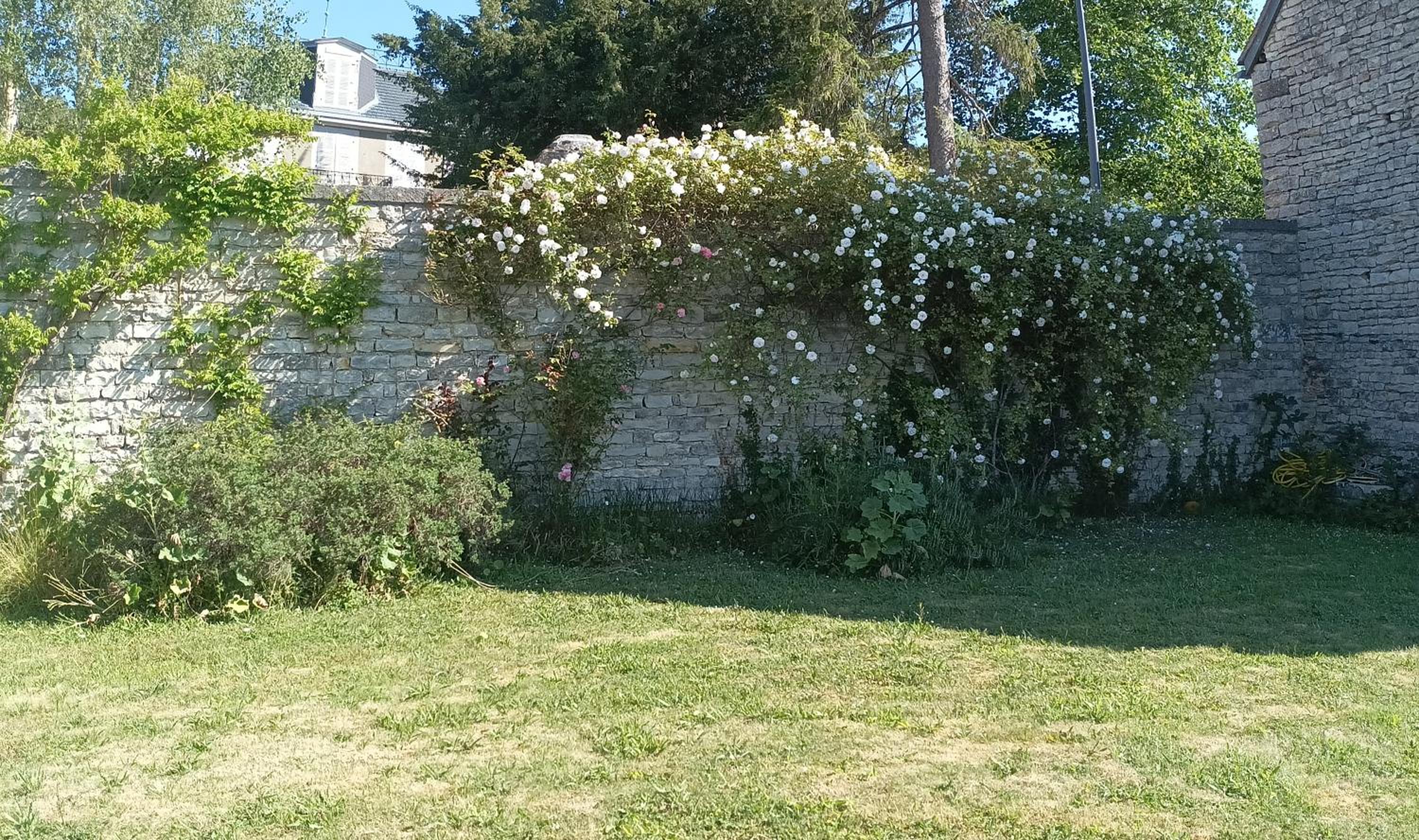 Photo 22