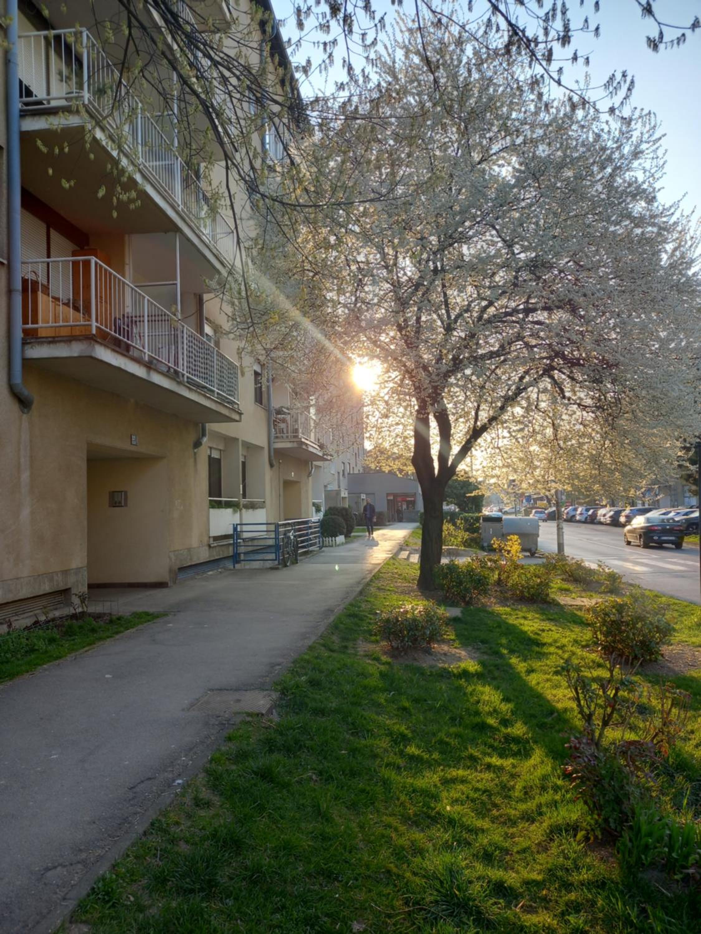 Photo 37