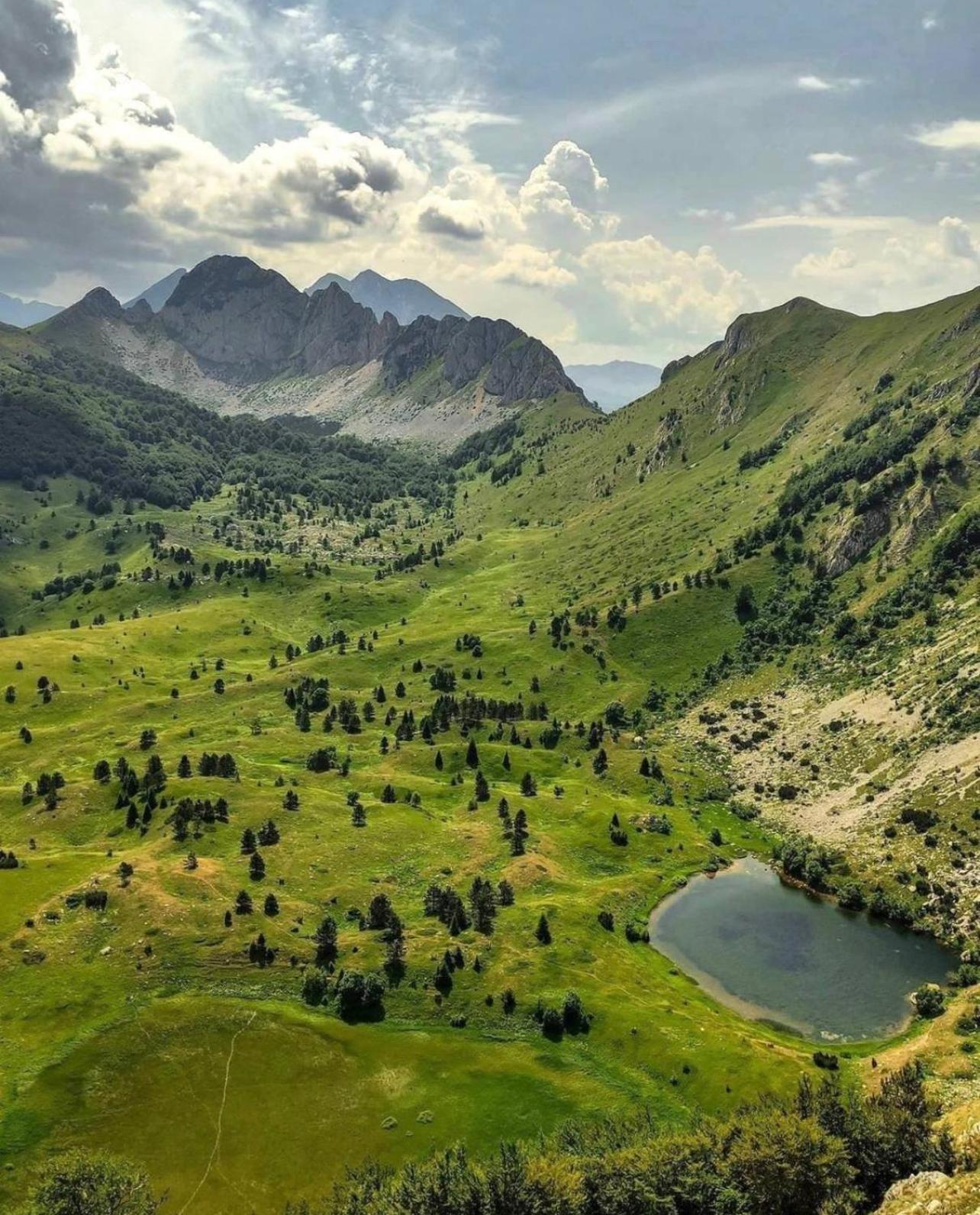 Vikendica Vrba