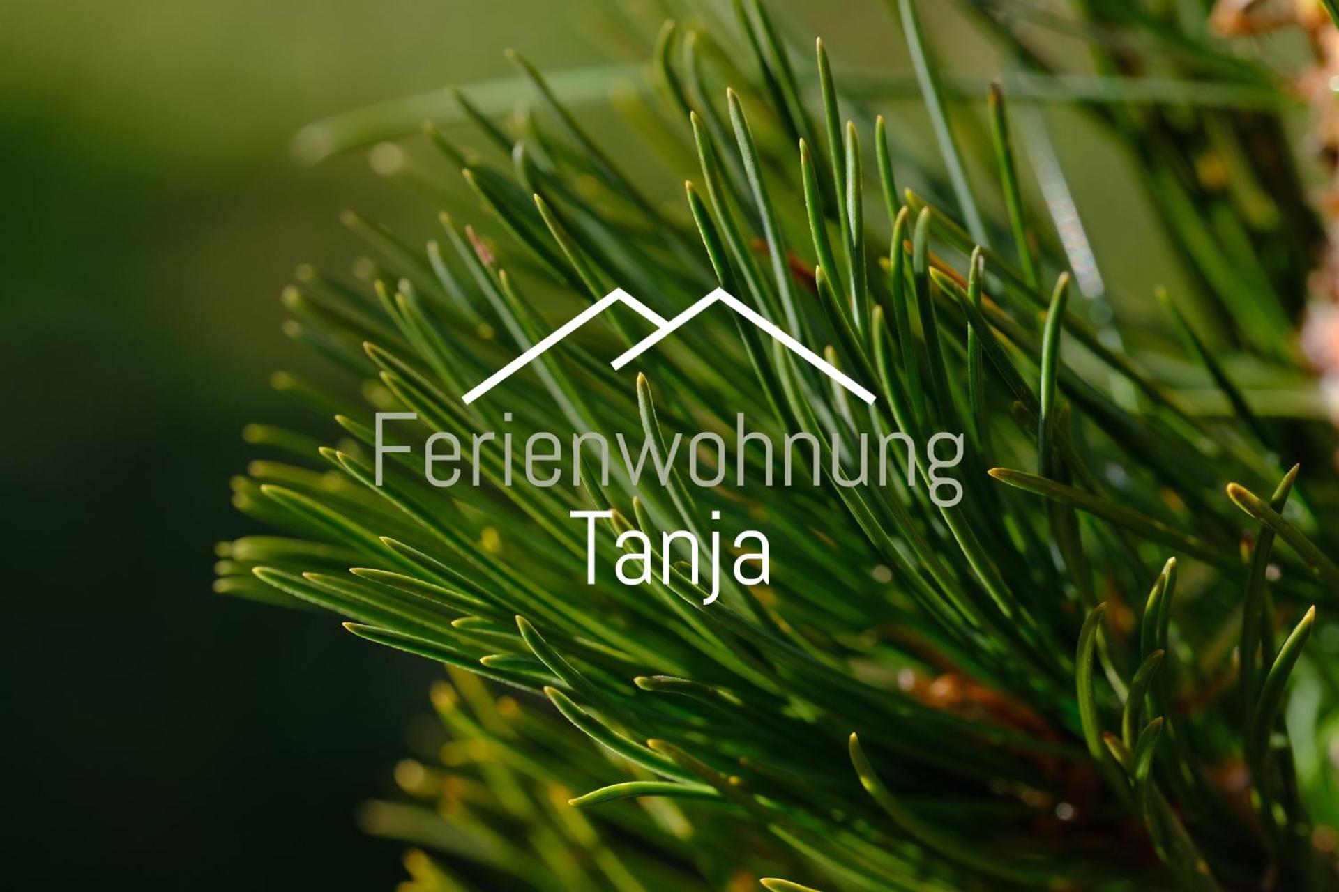 Ferienwohnung Tanja inklusive Sommercard view 2