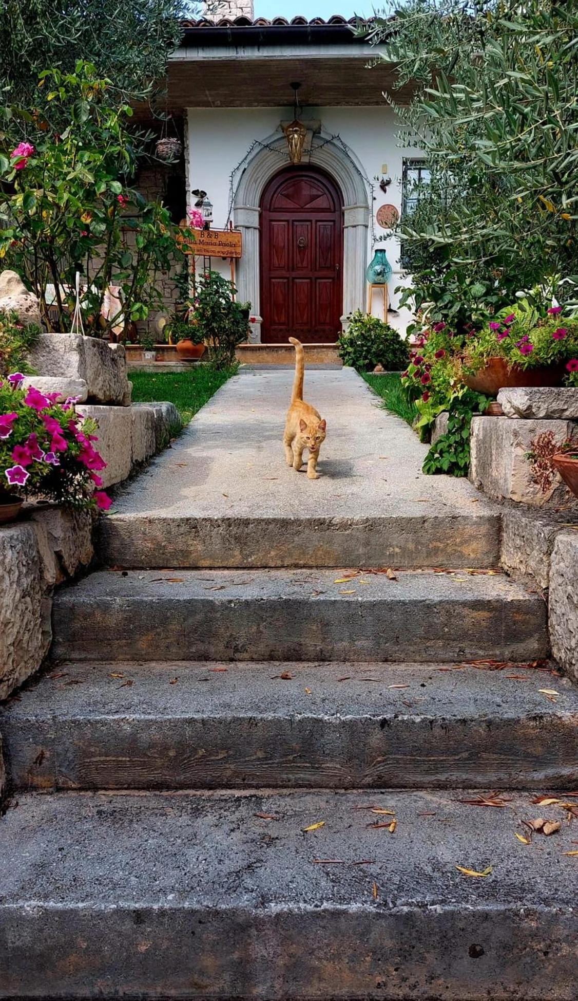 B&B Villa Maria Paola - Alloggi Temporanei Isernia