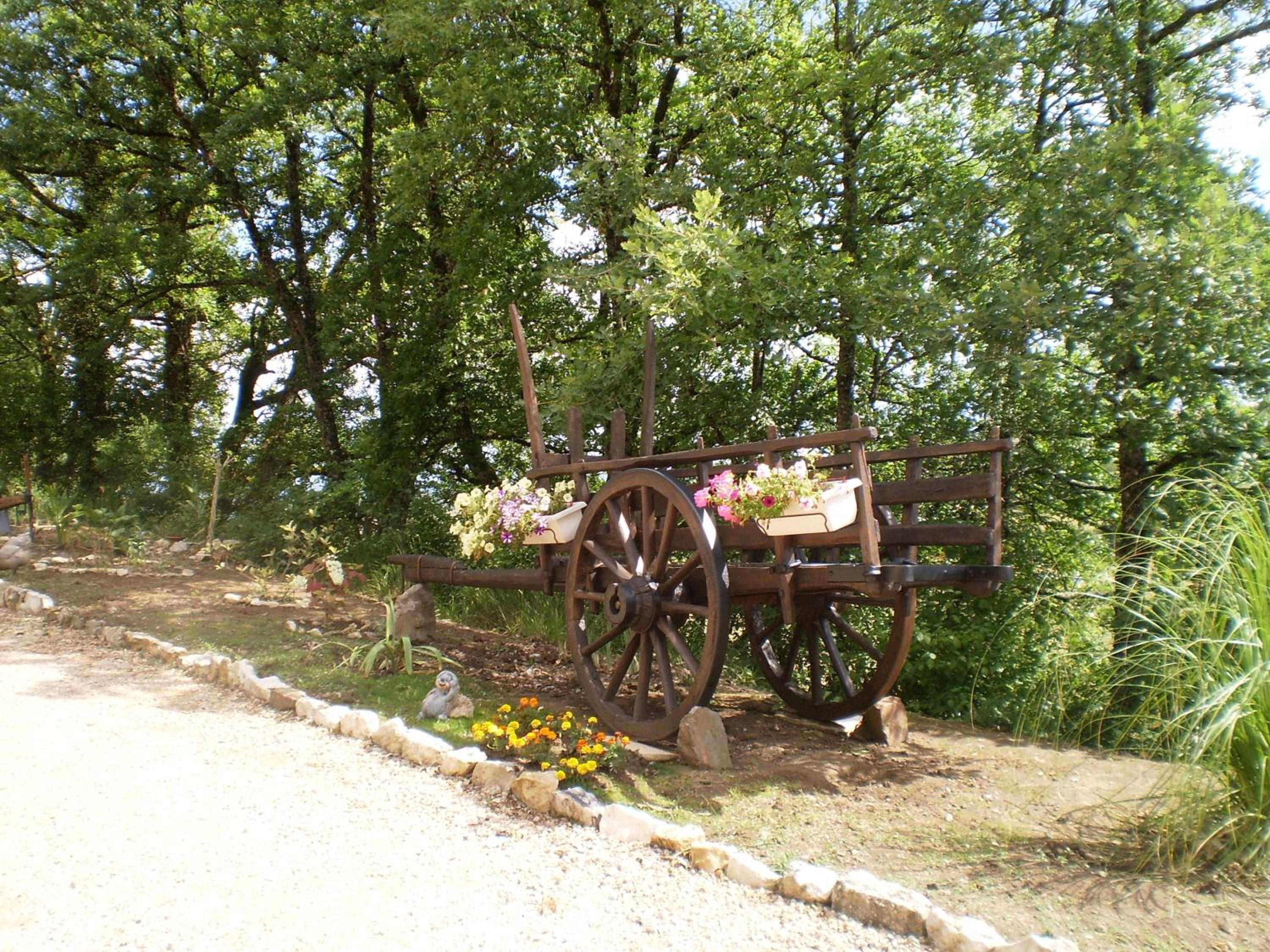 Photo 8