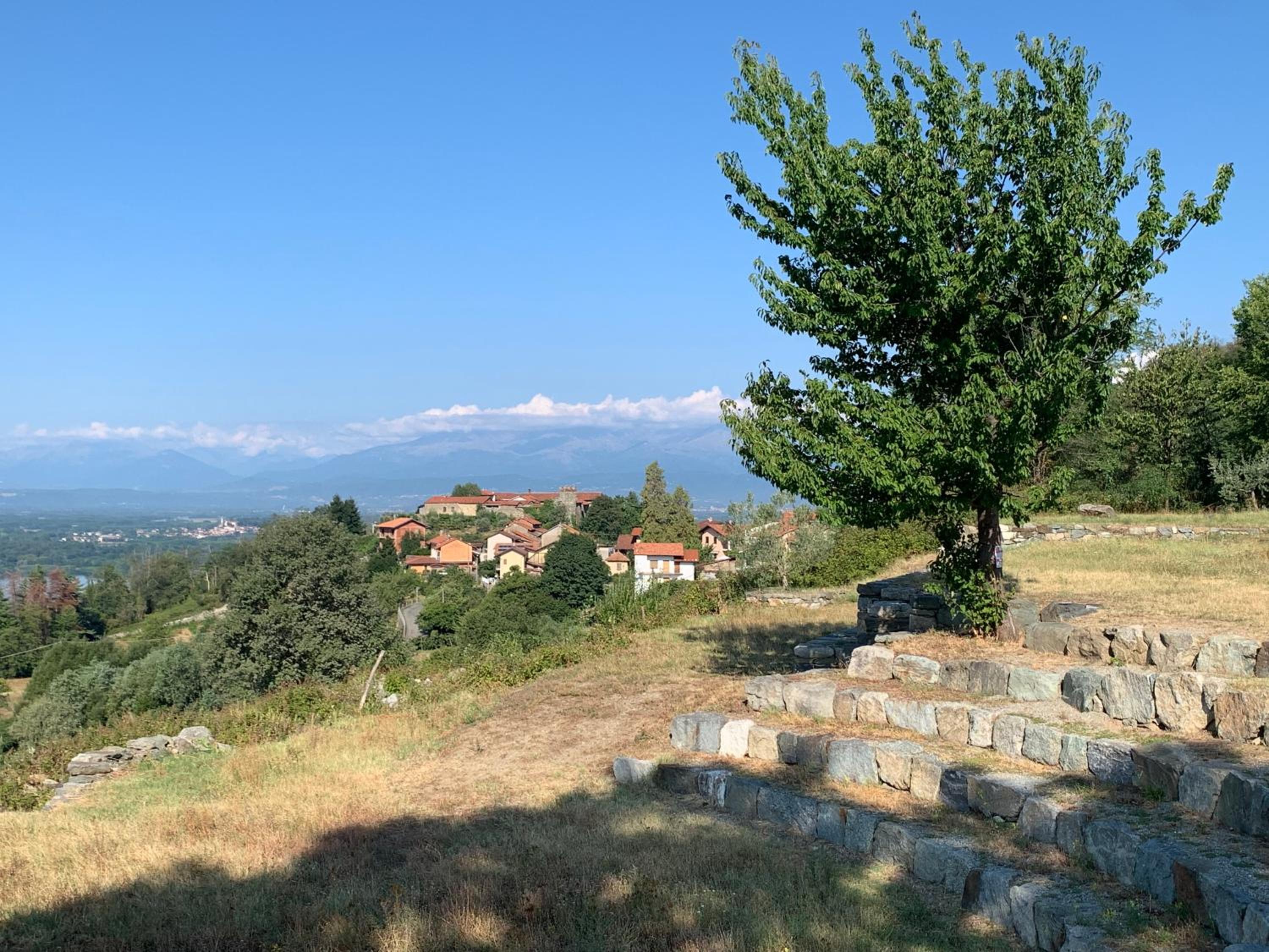 Bouganville