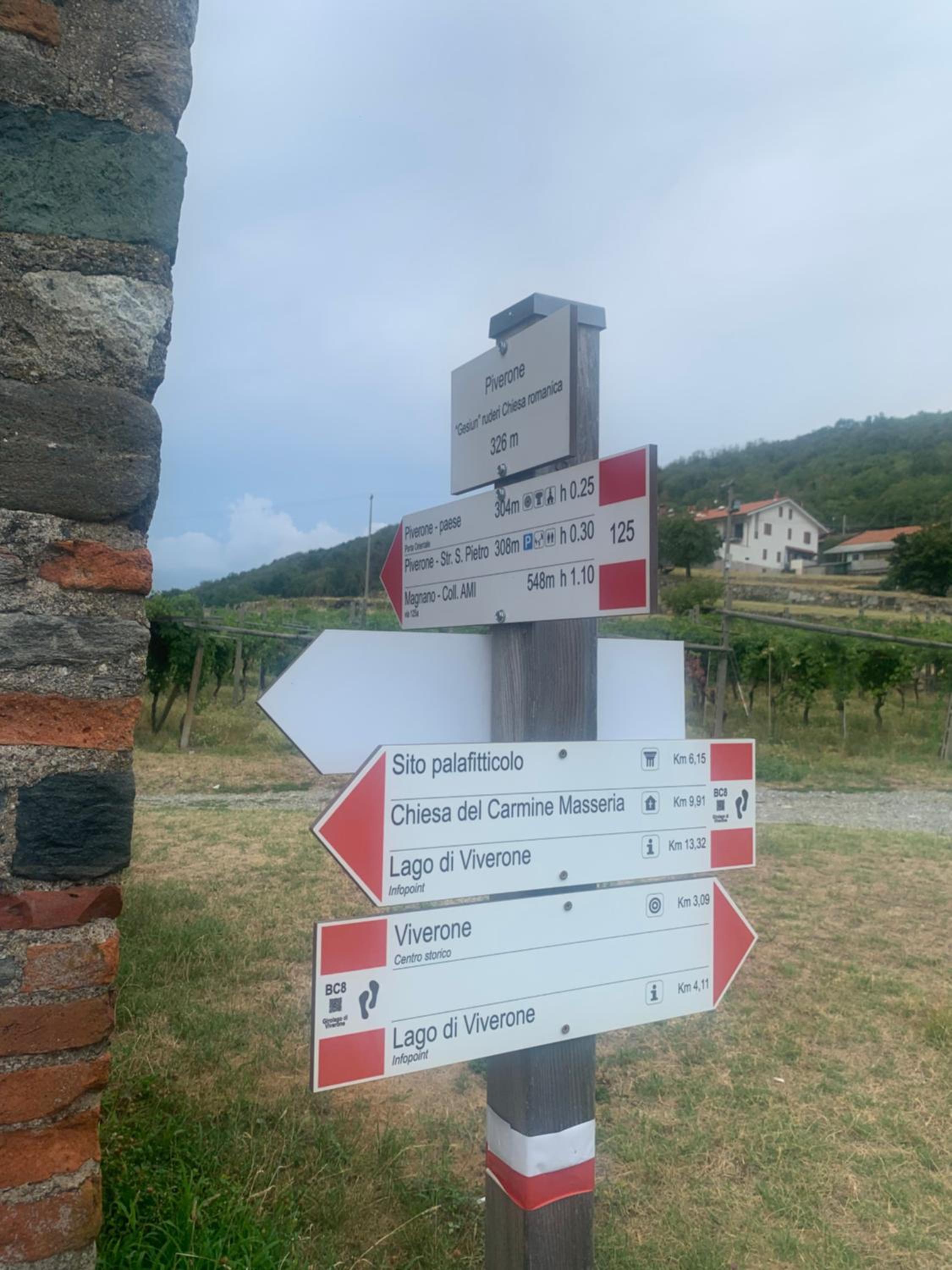 Bouganville