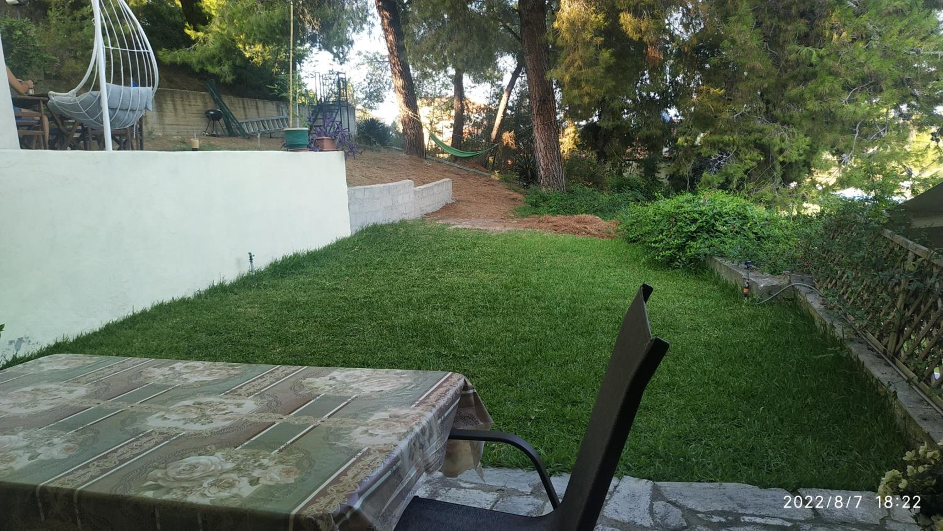 Photo 42