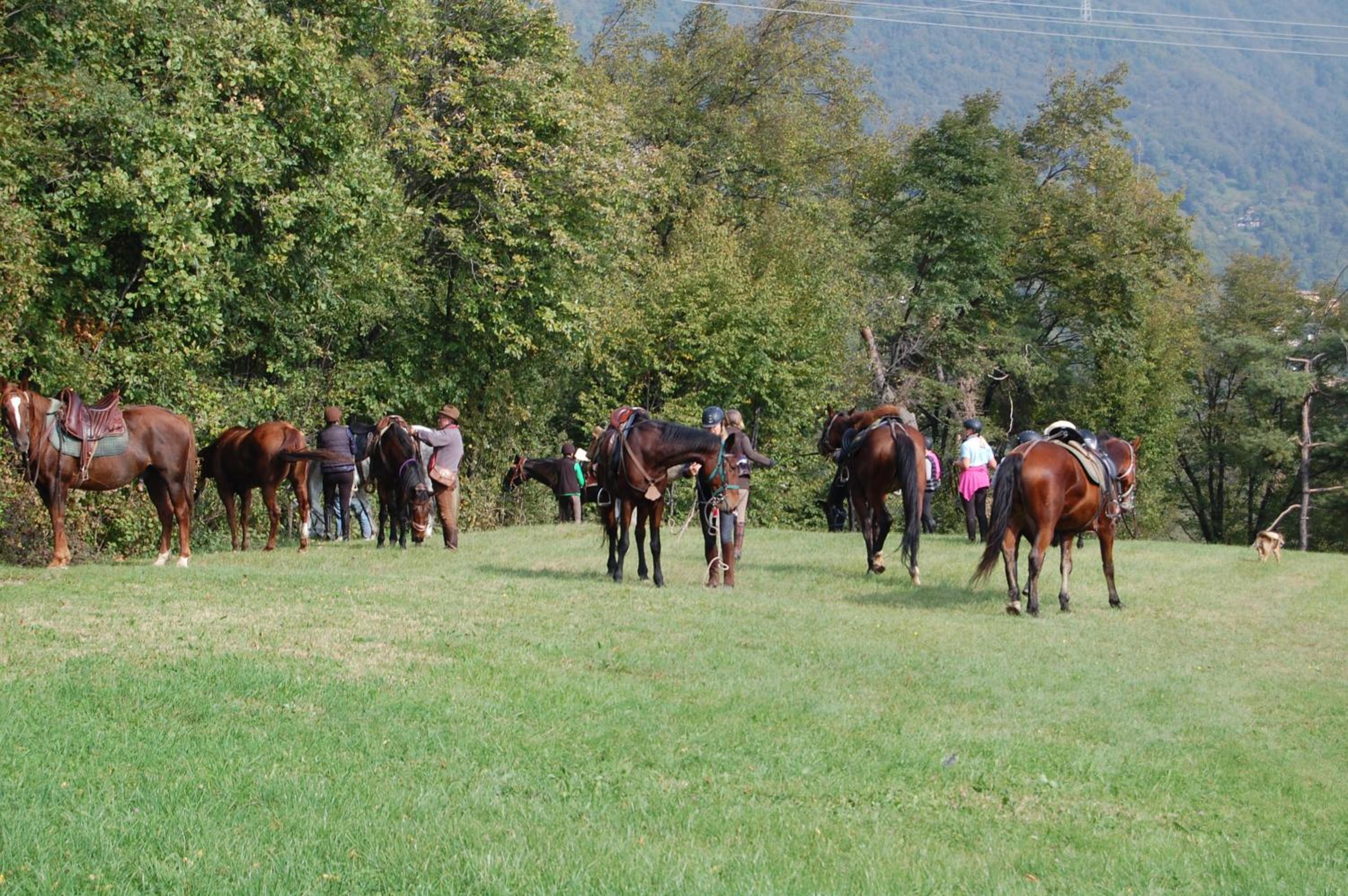 Agriturismo Casa del Castagneto