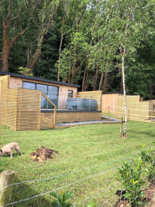The Caswell bay hide out view 4