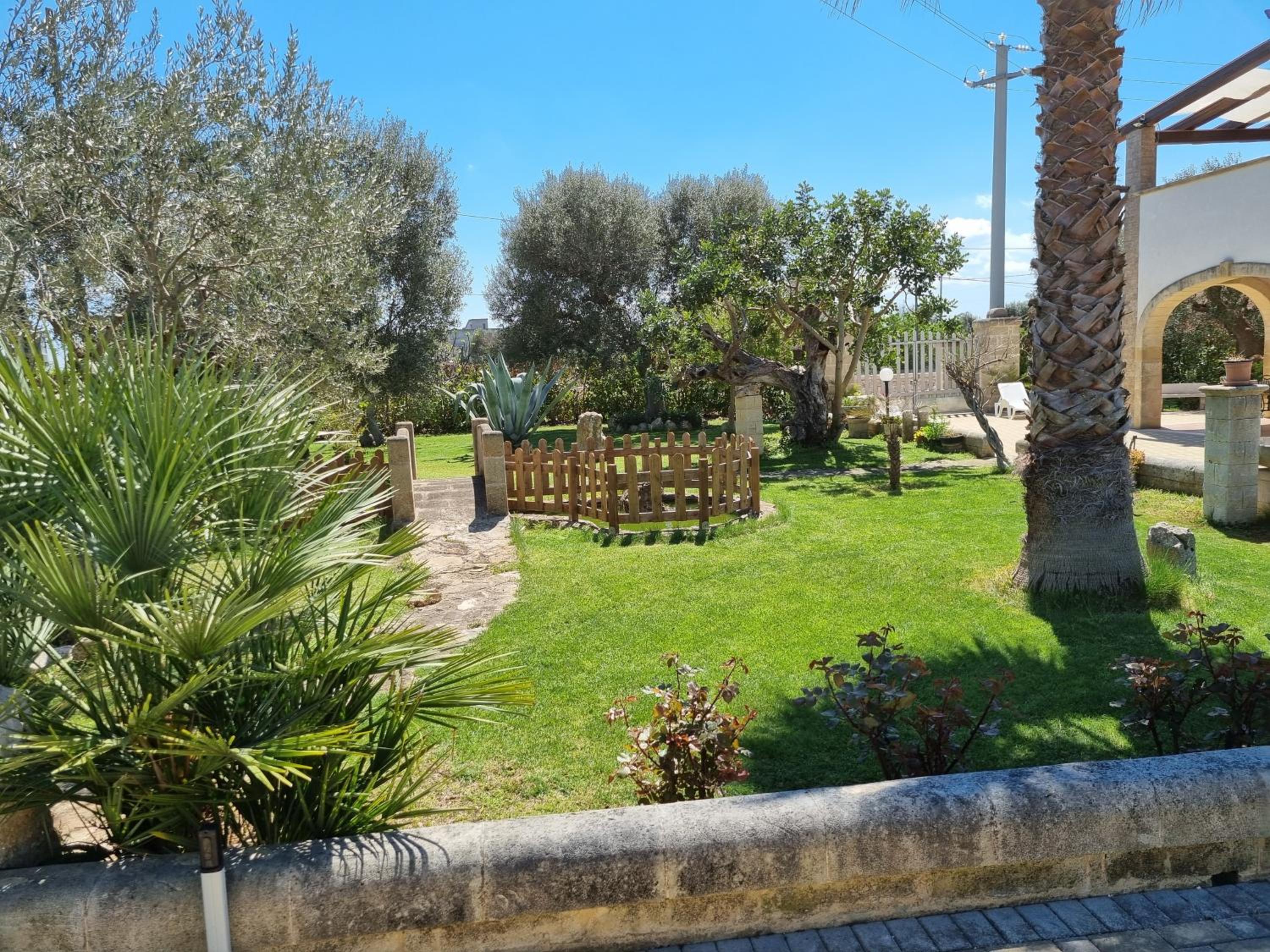 Photo 11