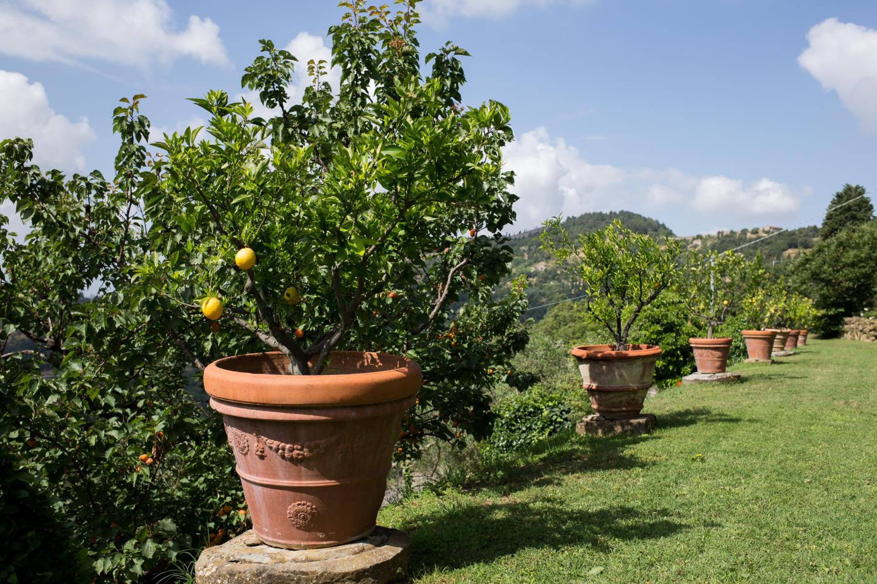 Villa Alma