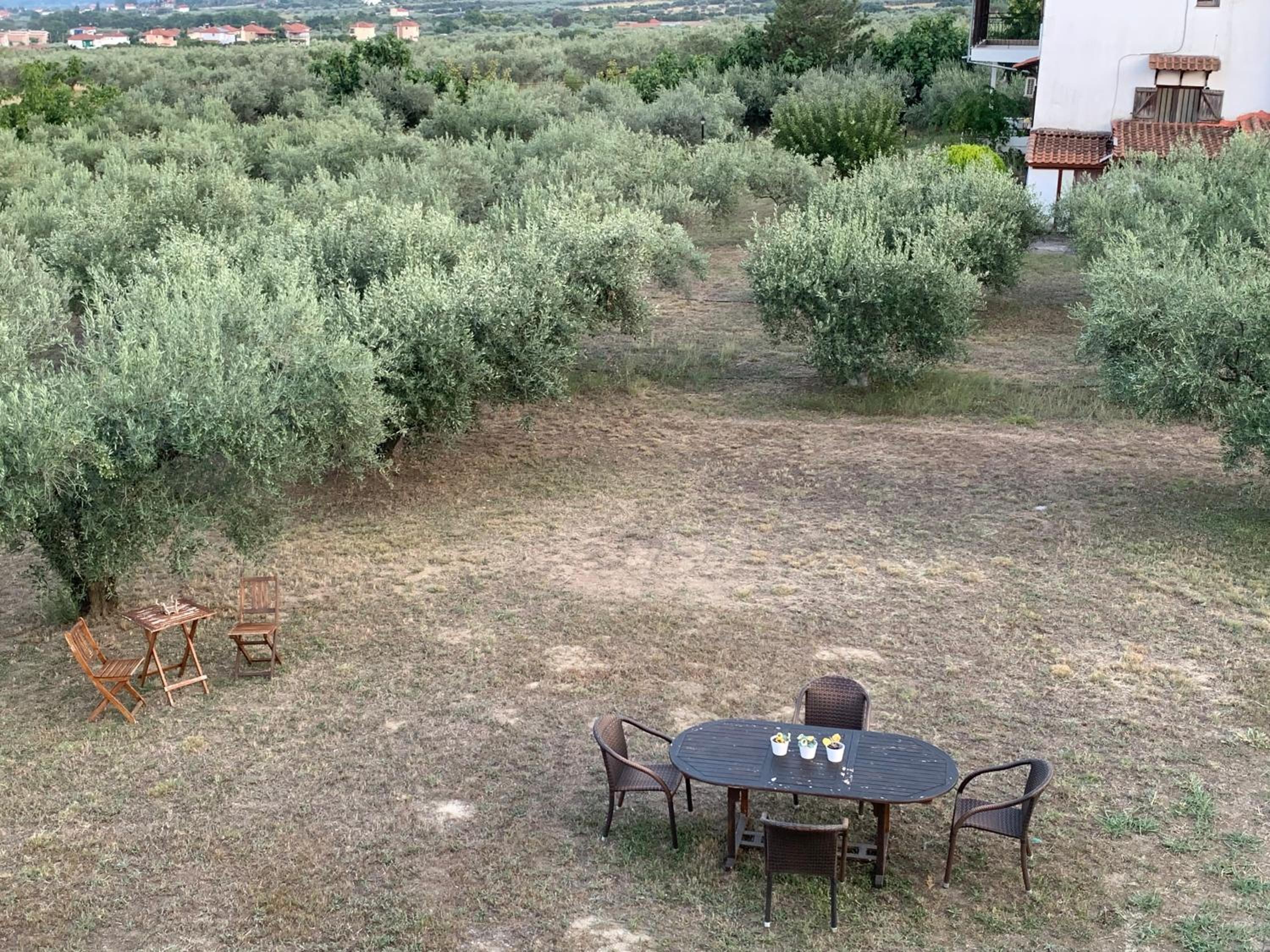 ZeusPlace Olympus Olive Country House 2