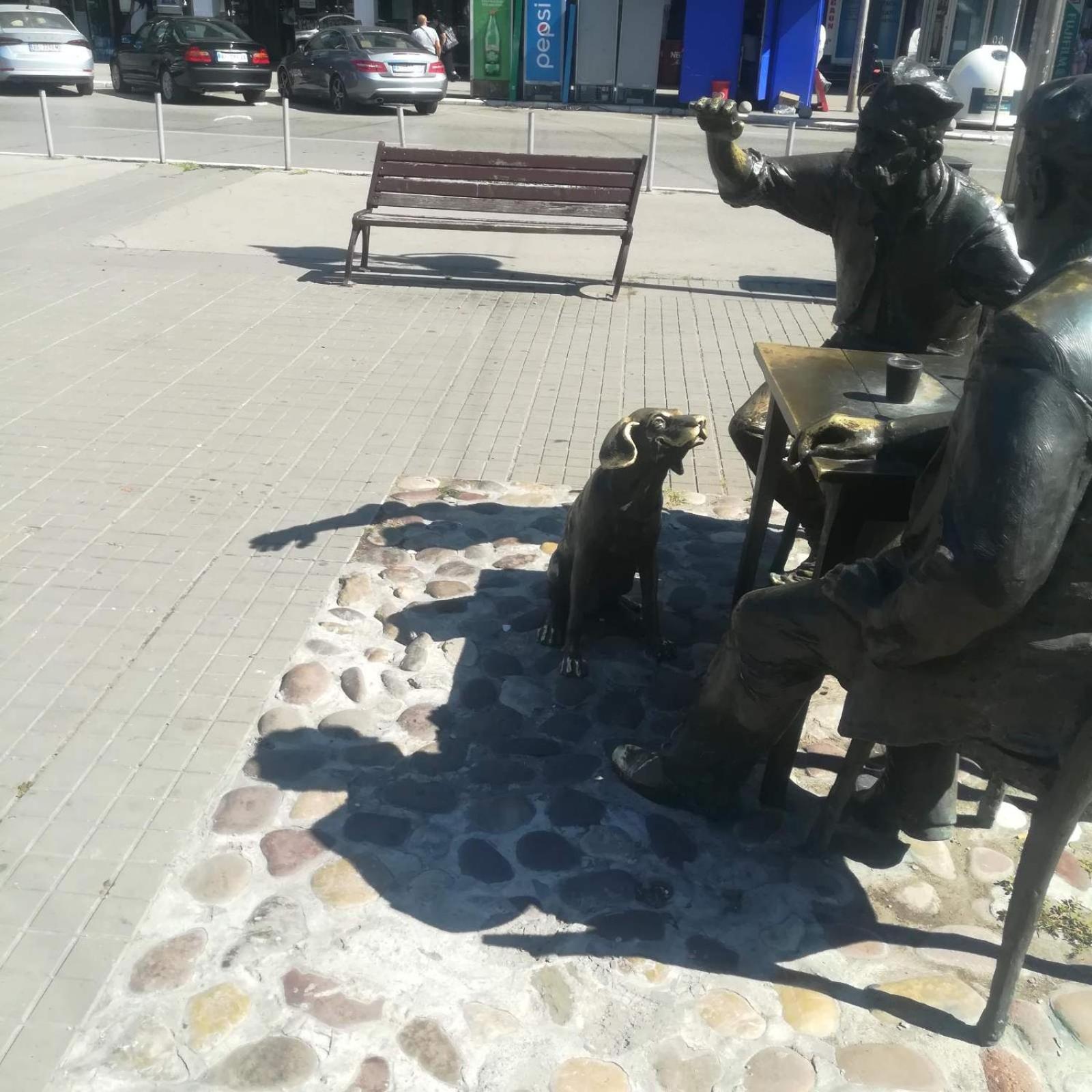 Photo 29