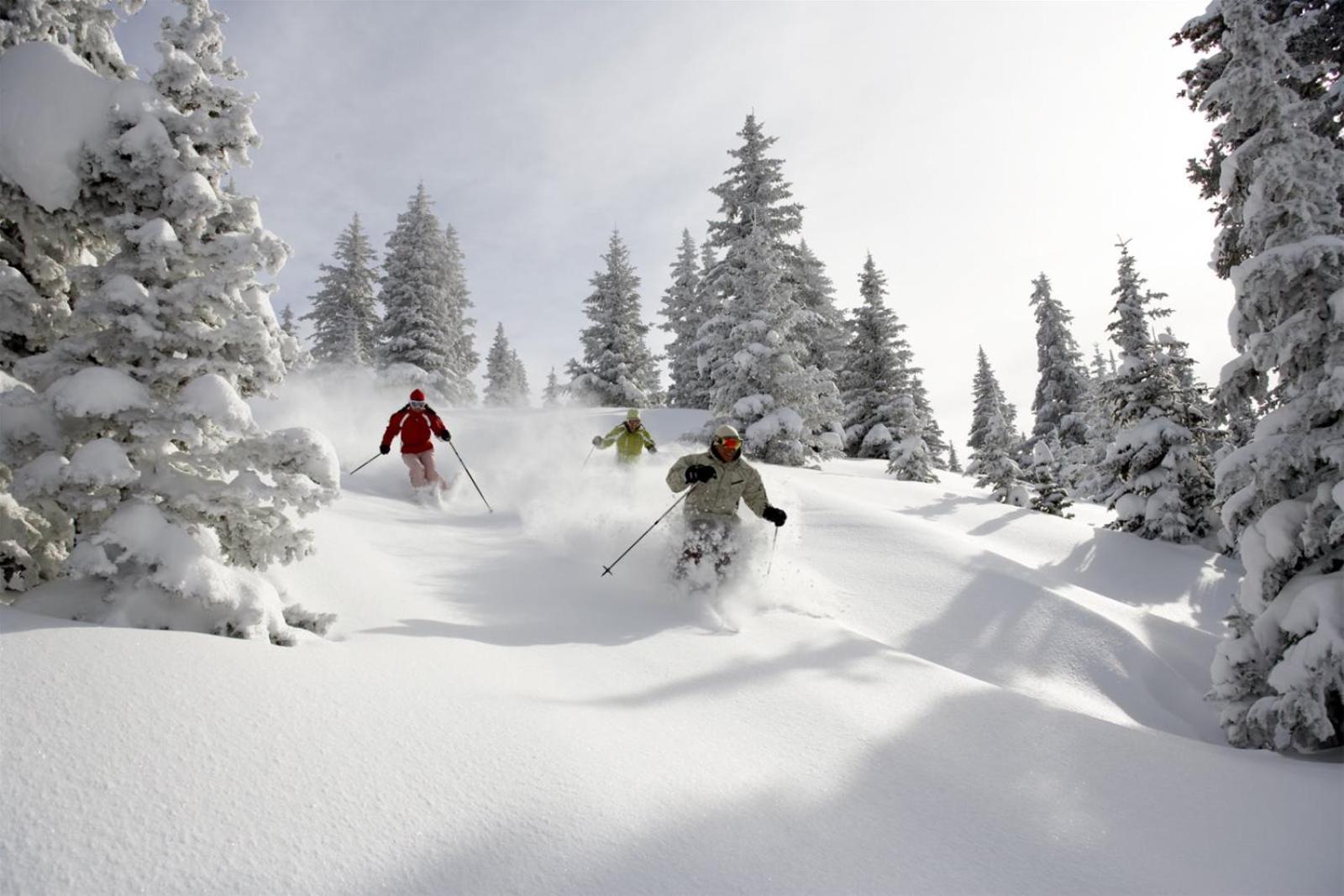 Platinum Vail Ritz-Carlton 4 Bedroom Mountain Residence Just One Block From The Eagle Bahn Gondola view 3