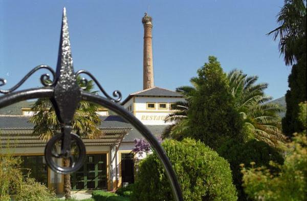 Viña Femita