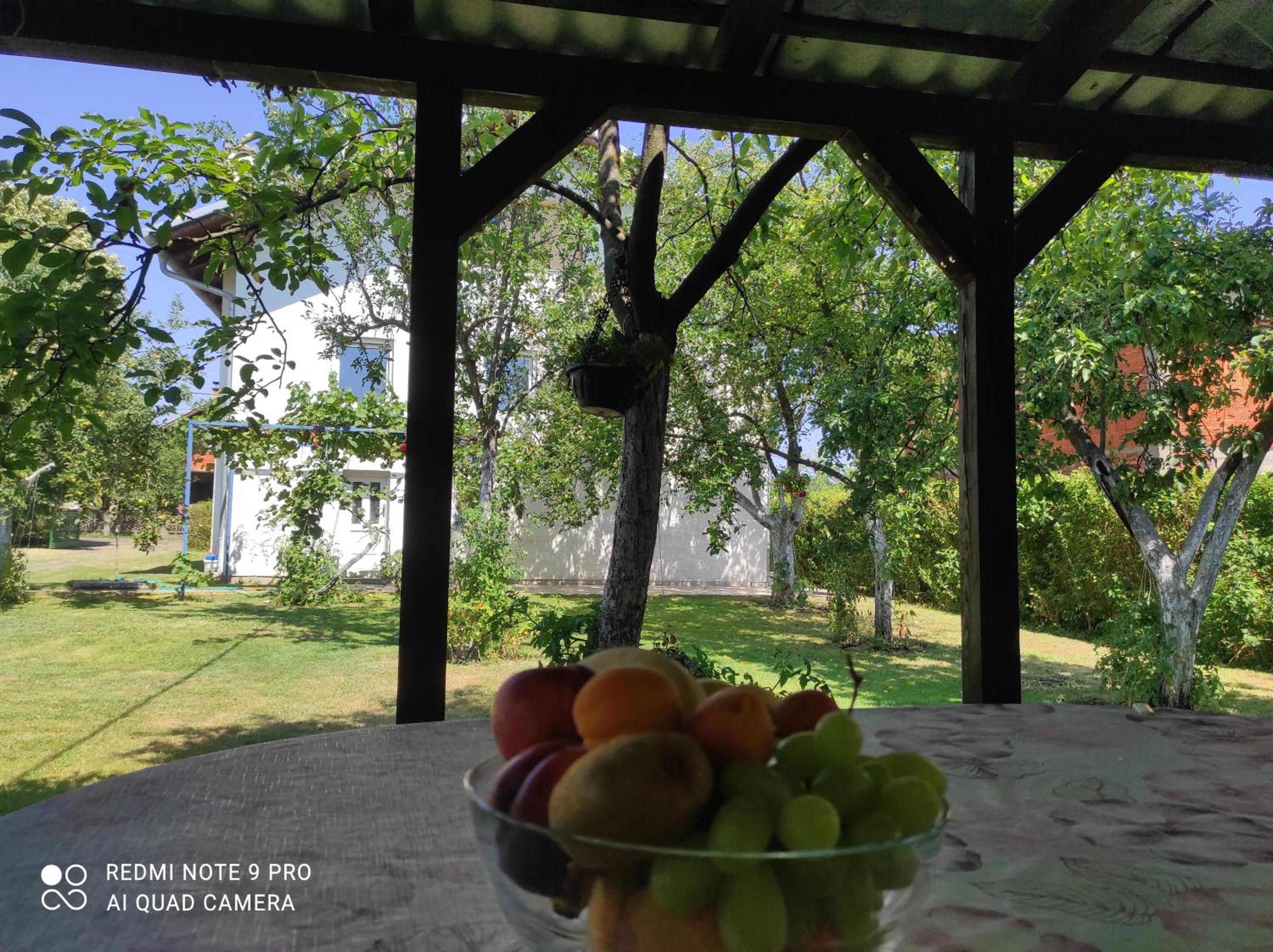 Home of nature - Kuća prirode