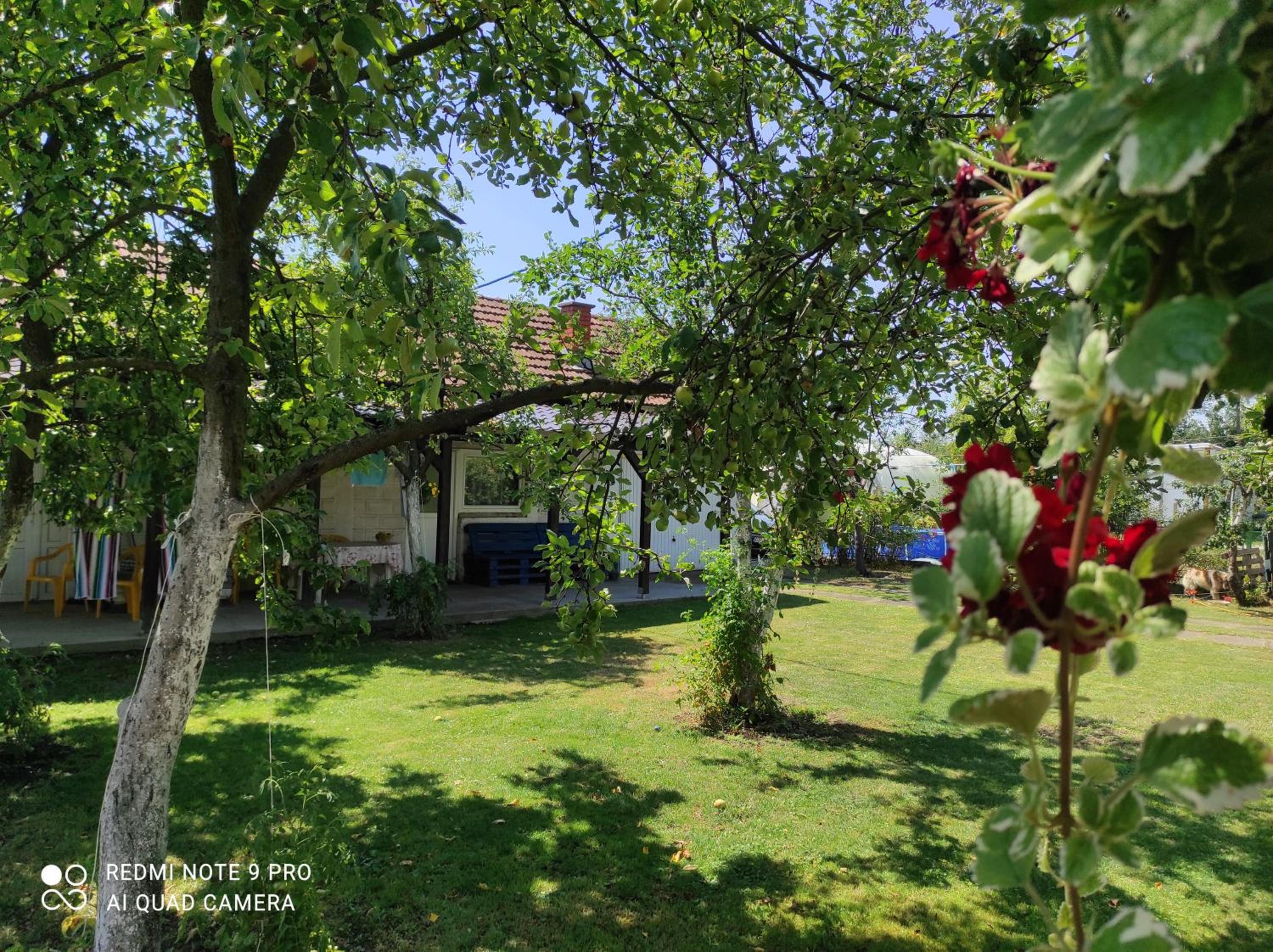 Home of nature - Kuća prirode