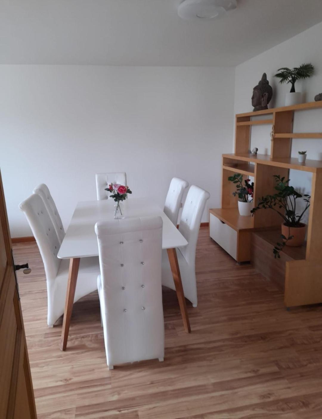 Riegrova view 5