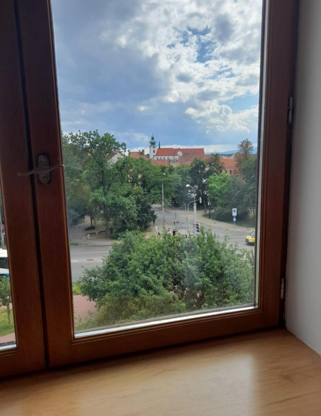 Riegrova view 2