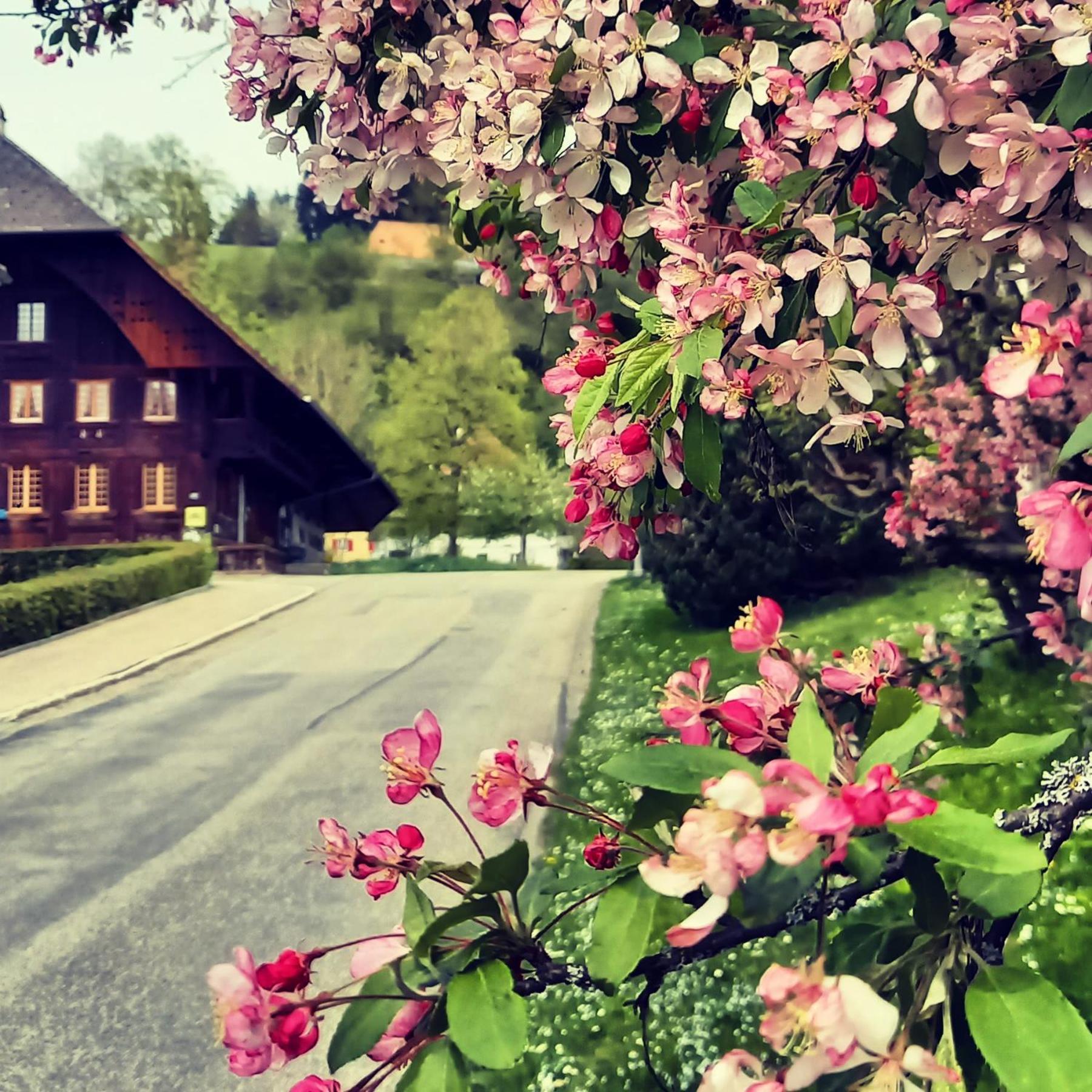Emme Lodge