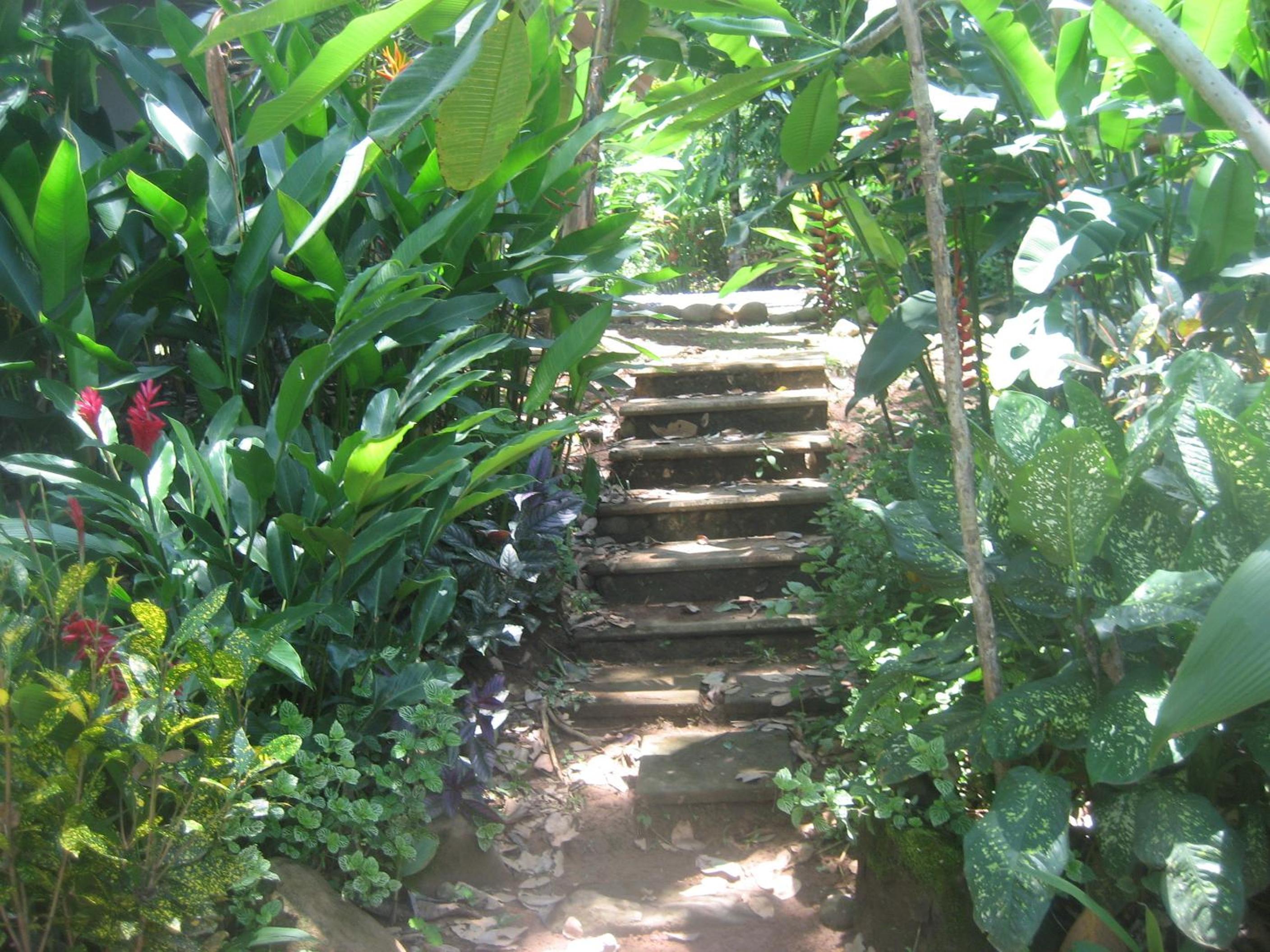 Photo 41
