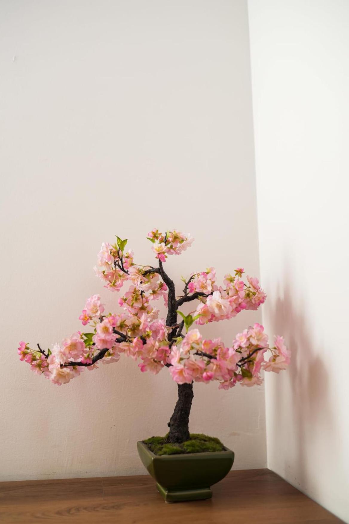 Photo 44