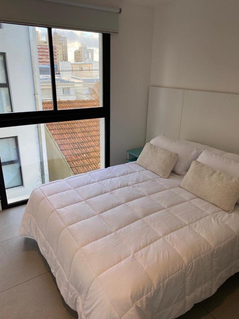 departamento San Carlos
